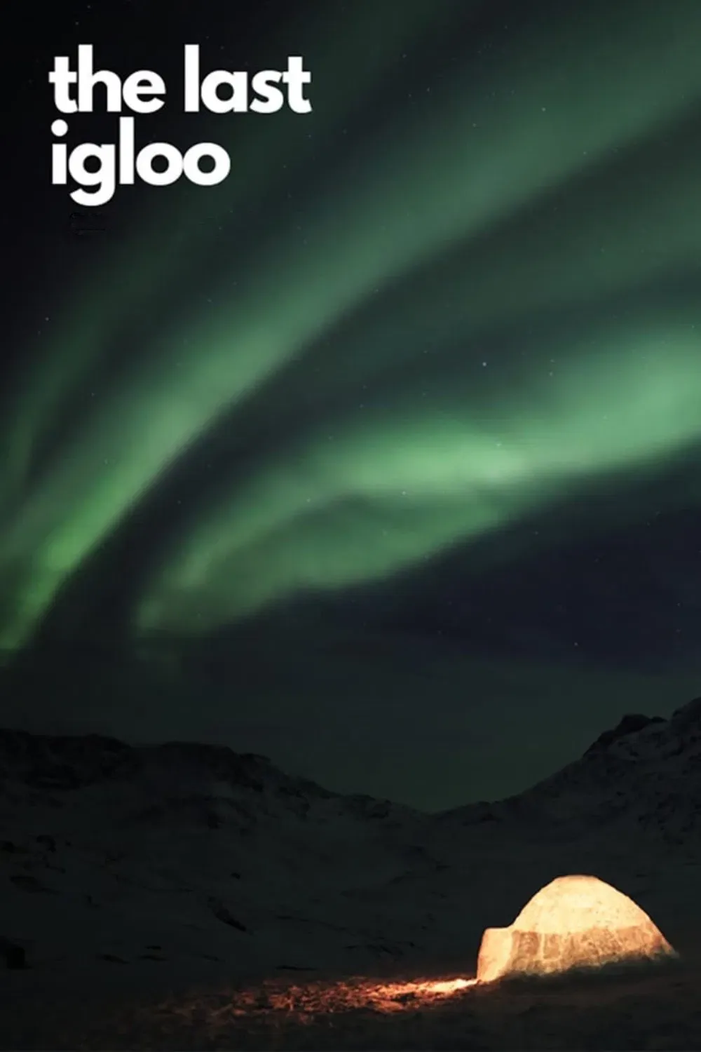 Poster of the movie The Last Igloo