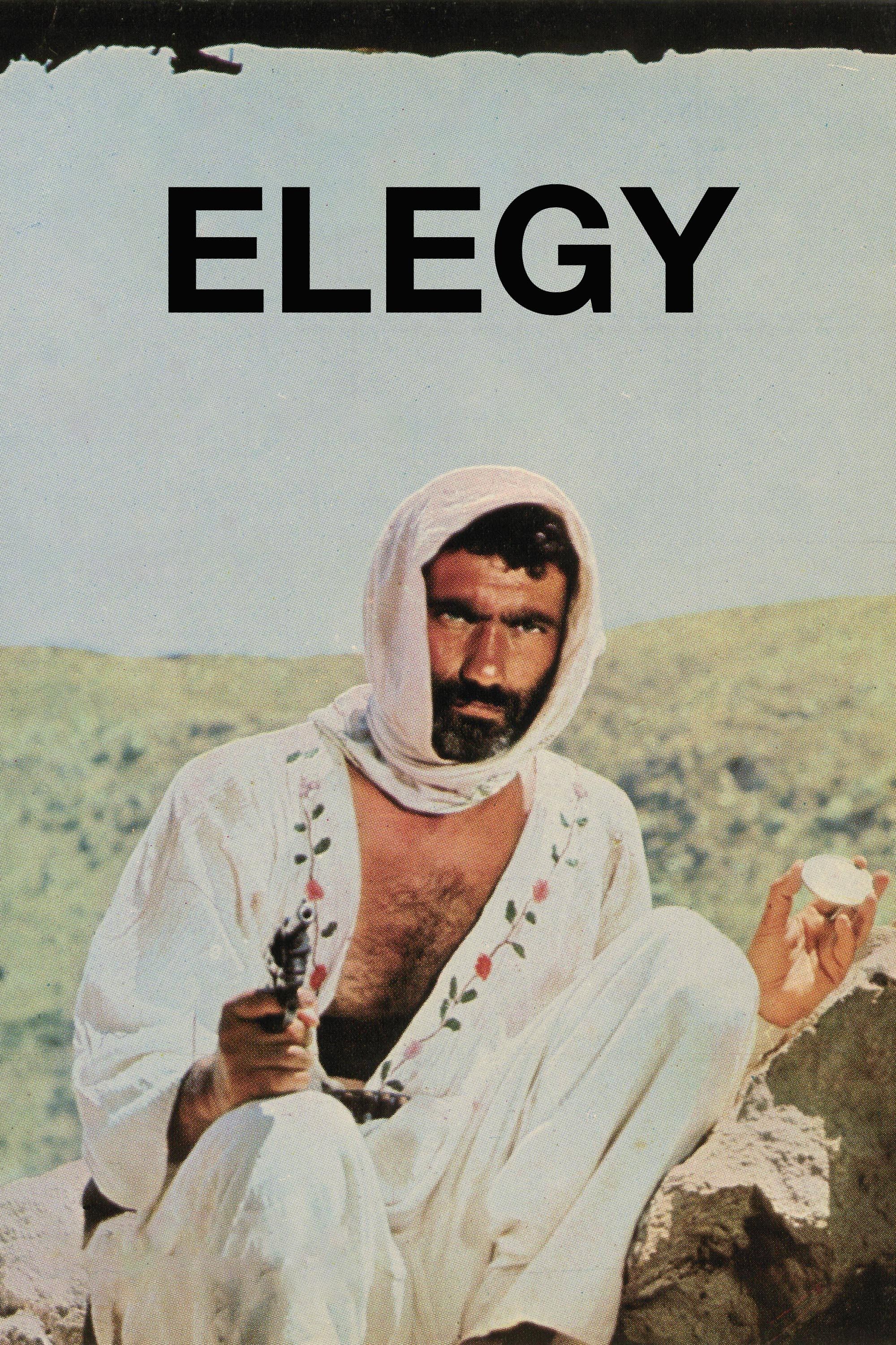 Poster of the movie Elegy