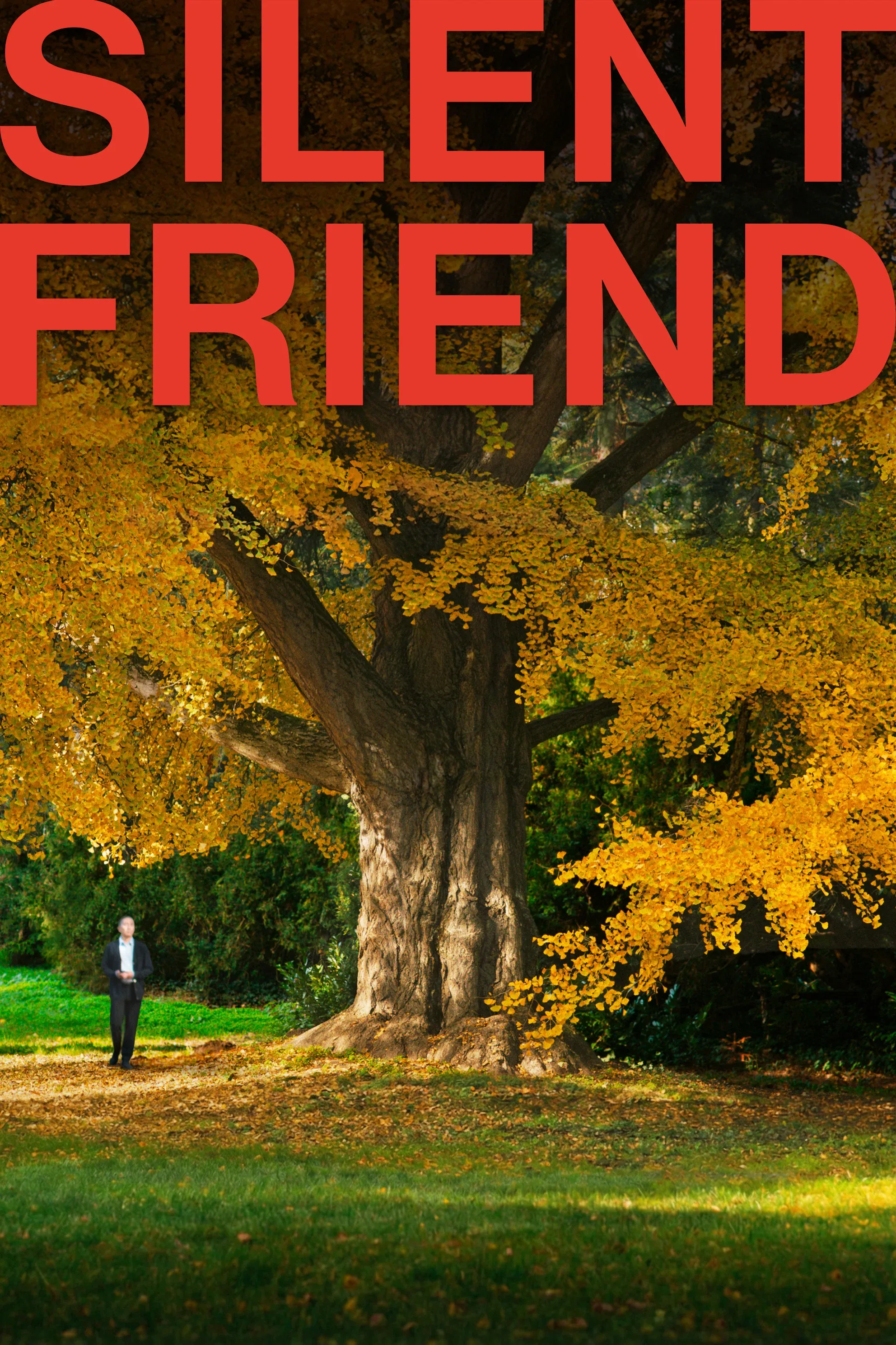 Poster for Silent Friend