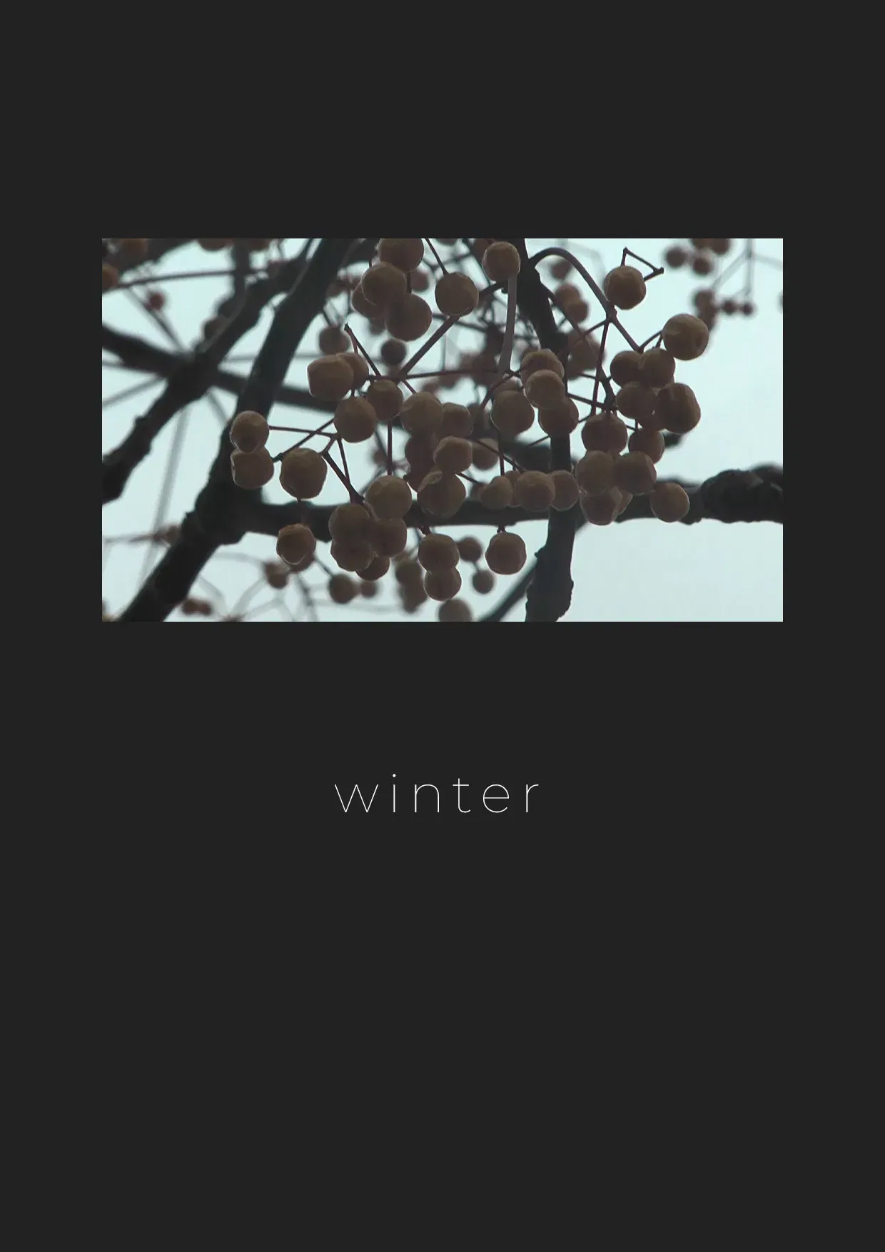 Poster of the movie Winter
