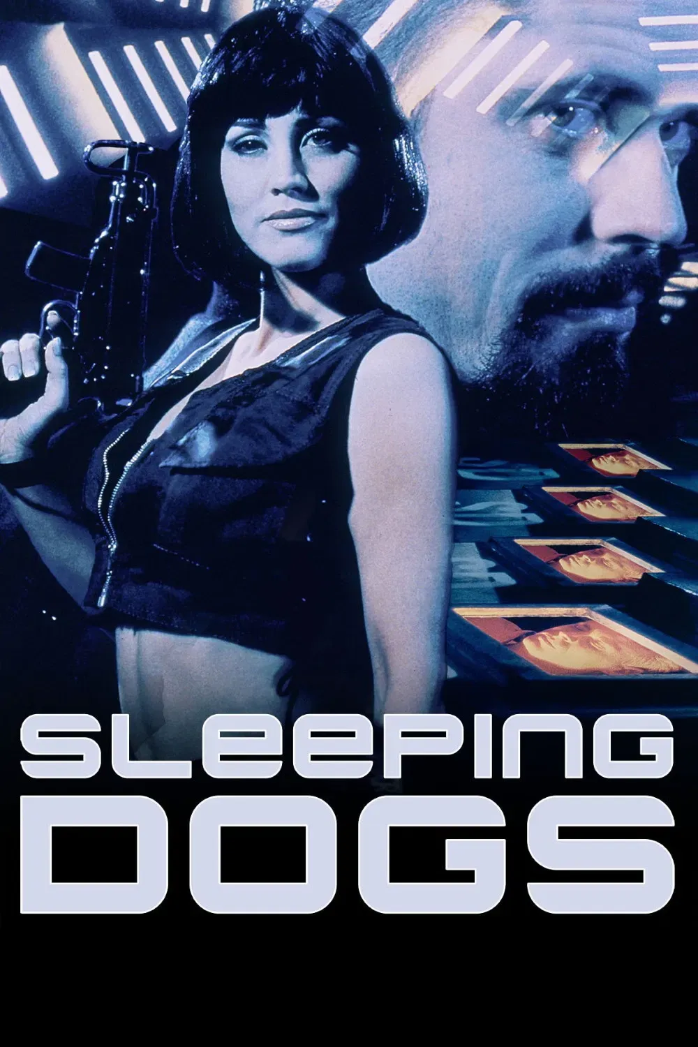 Poster of the movie Sleeping Dogs
