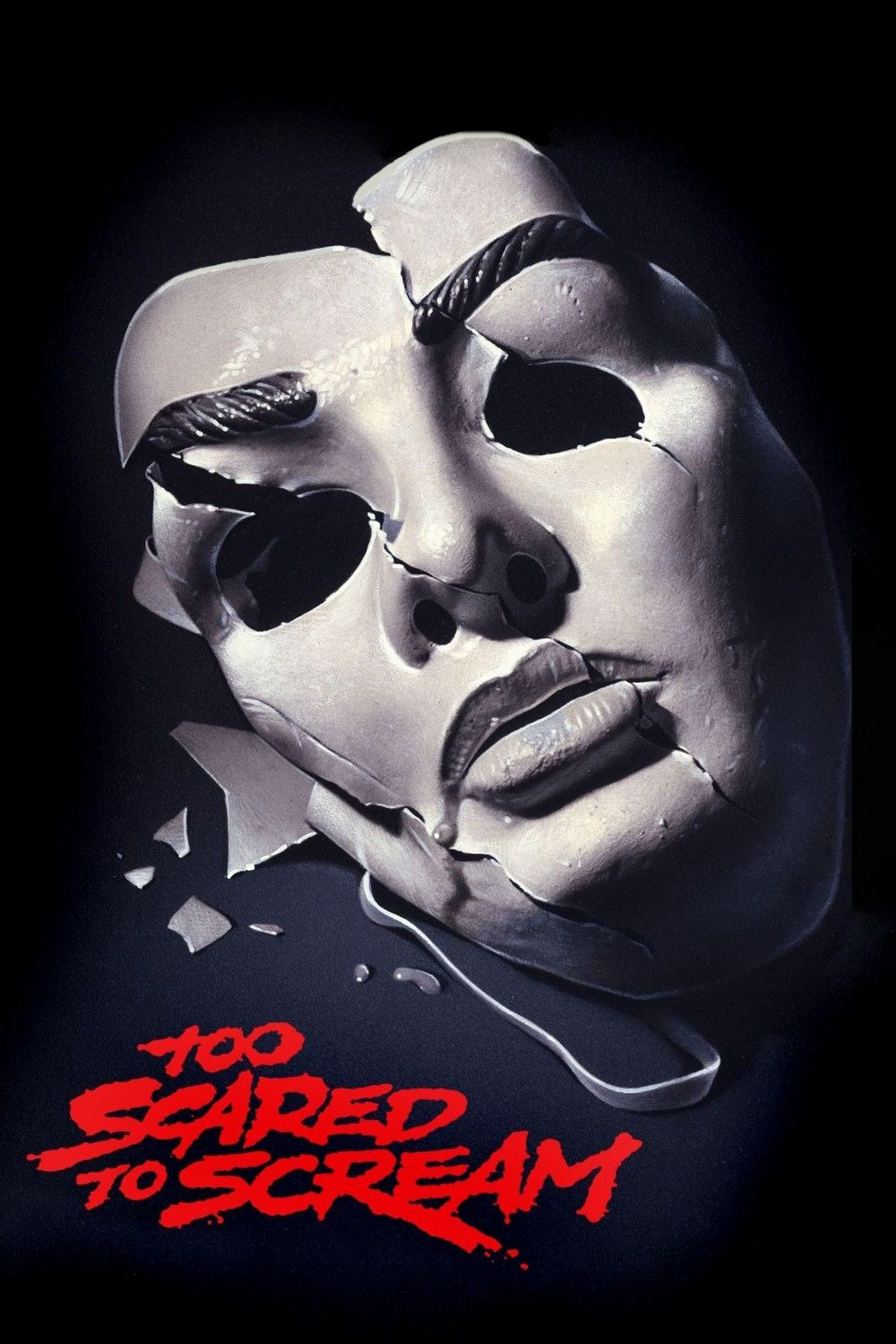 Poster of the movie Too Scared to Scream
