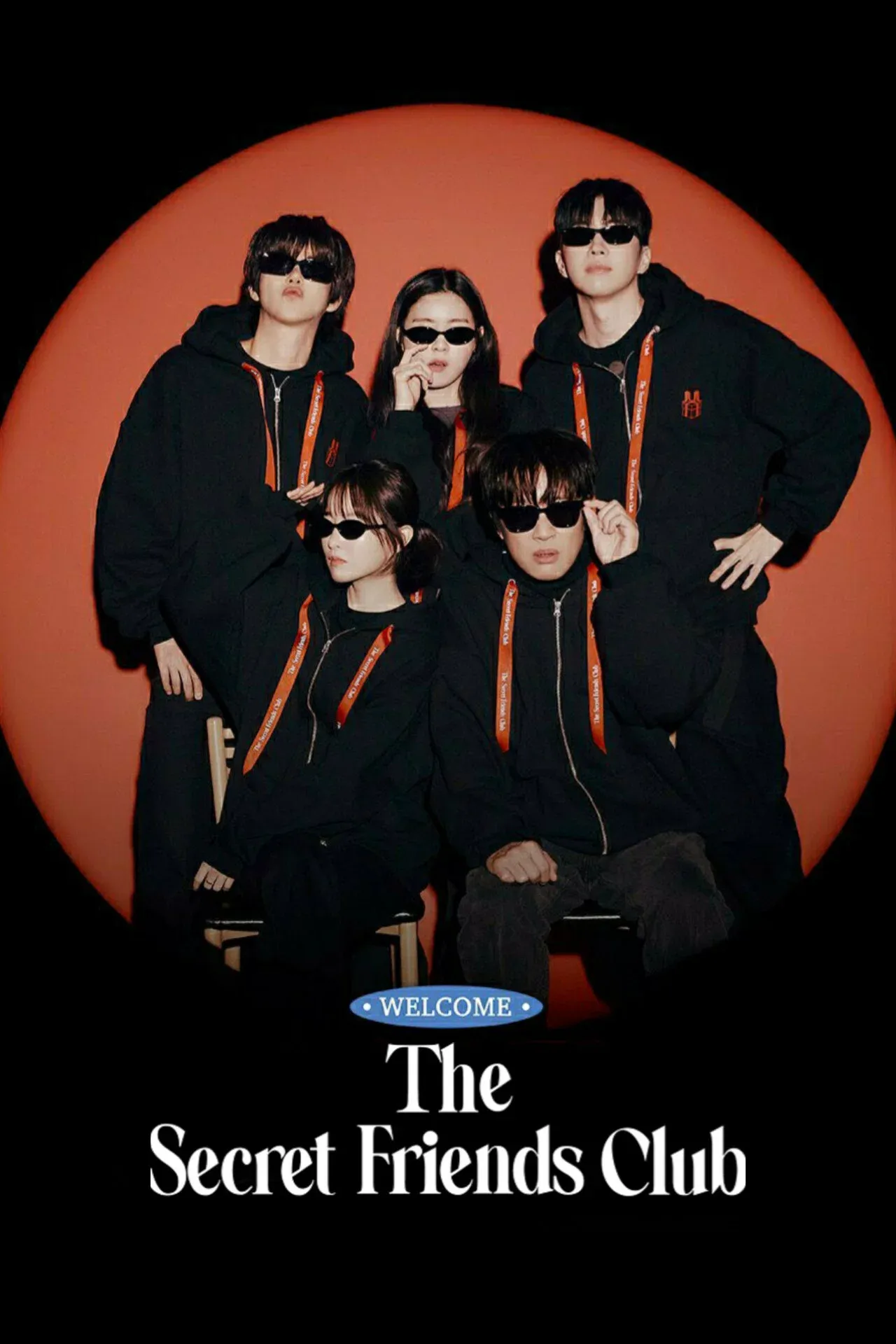 Poster of The Secret Friends Club