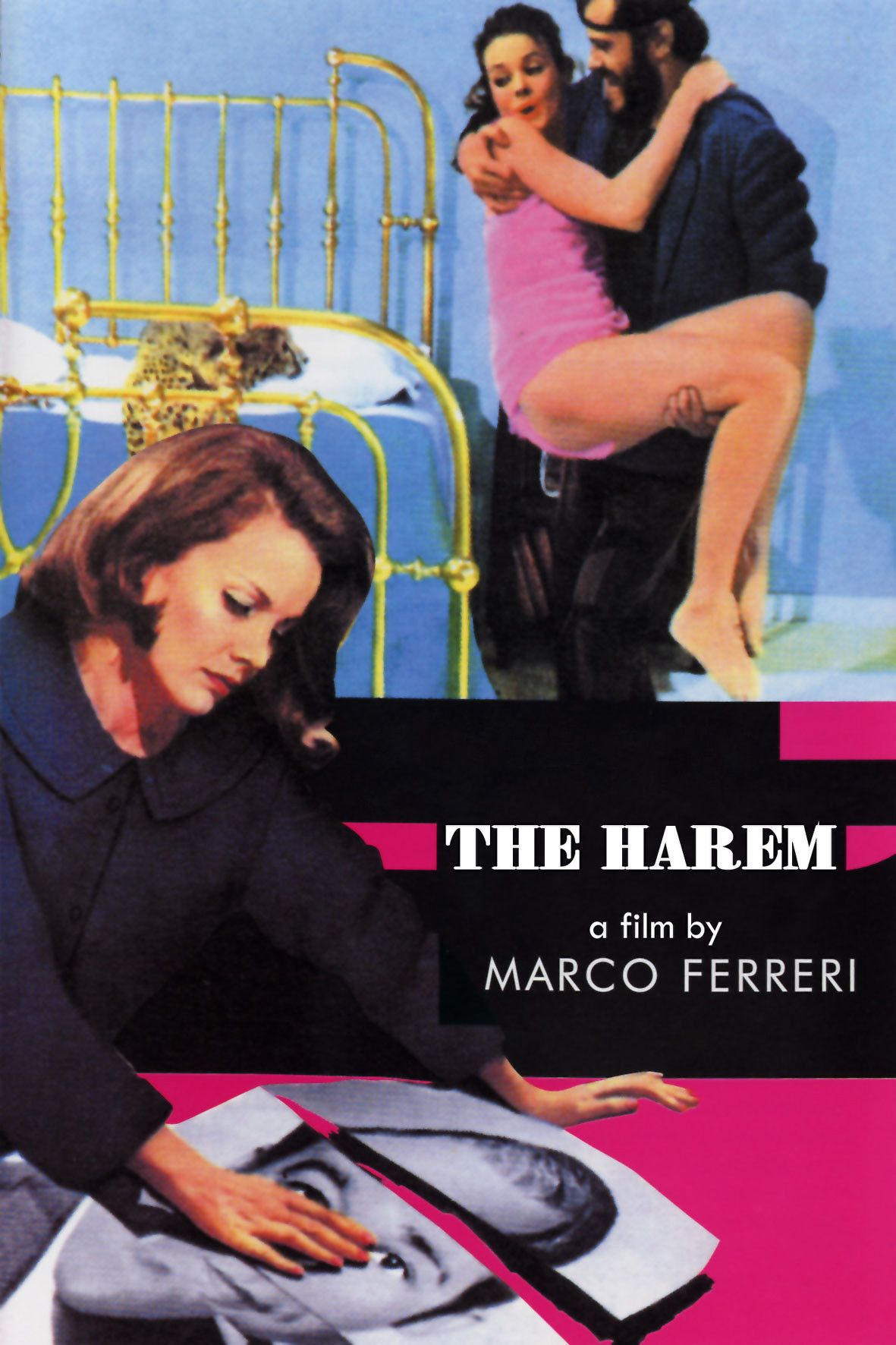 Poster of the movie The Harem