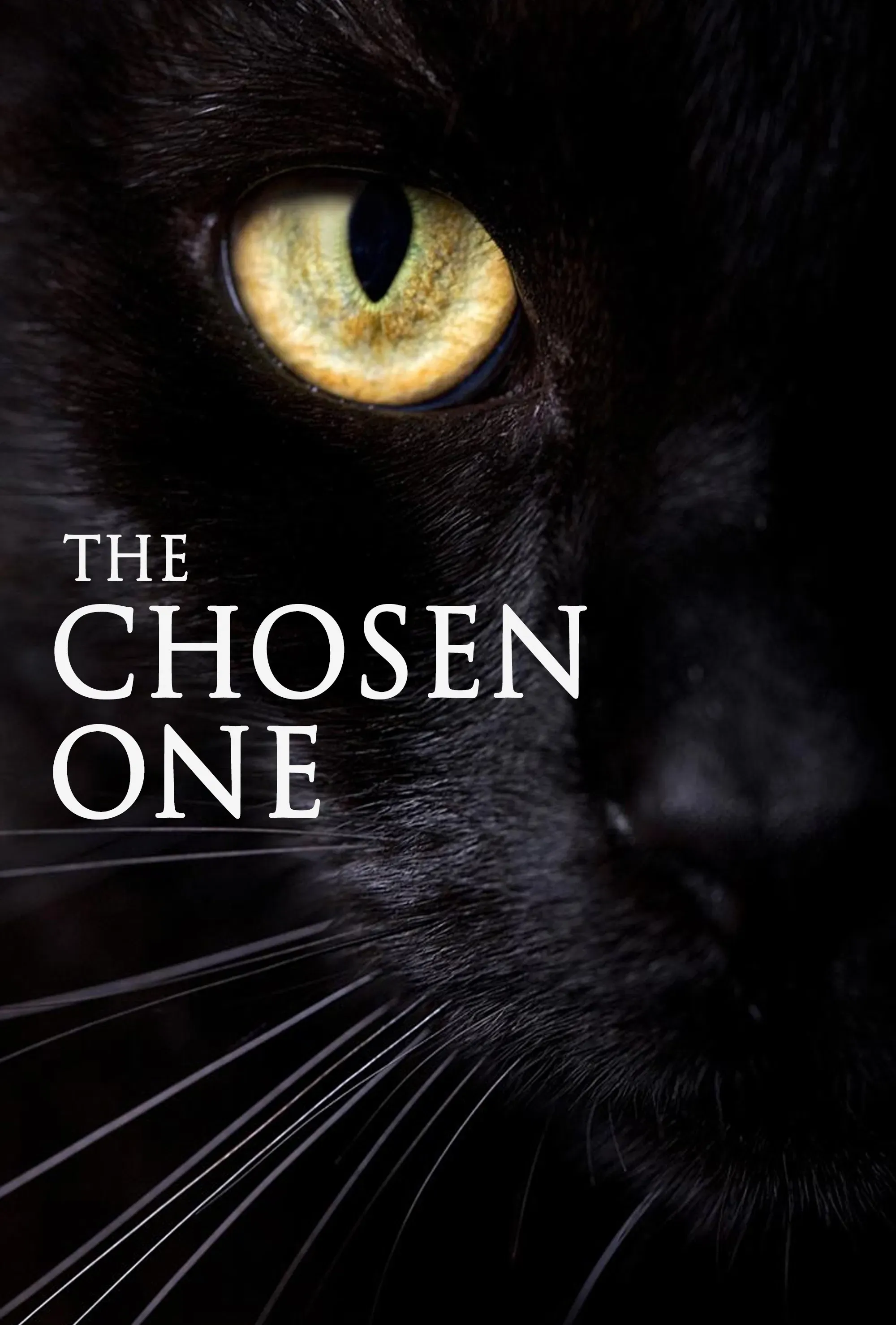 Poster of the movie A Escolhida