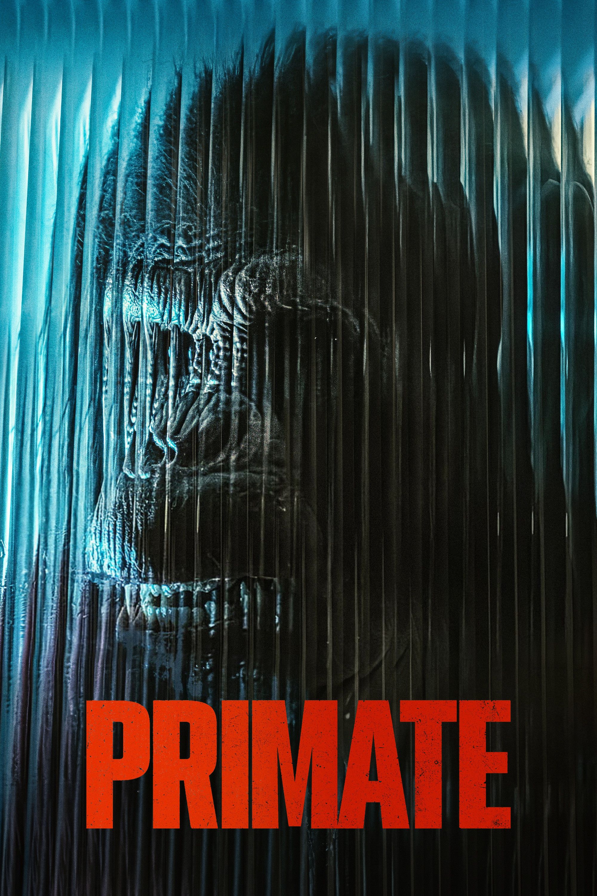Poster of the movie Primate