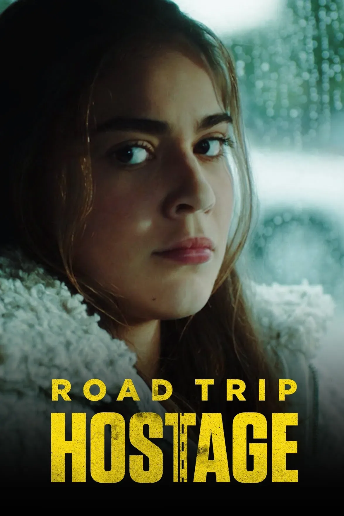 Poster of the movie Road Trip Hostage