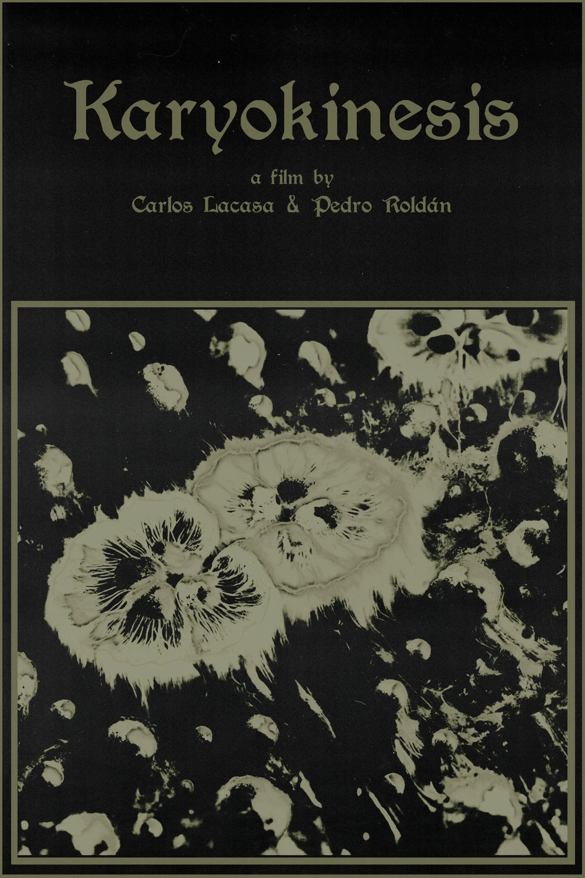 Poster for Karyokinesis