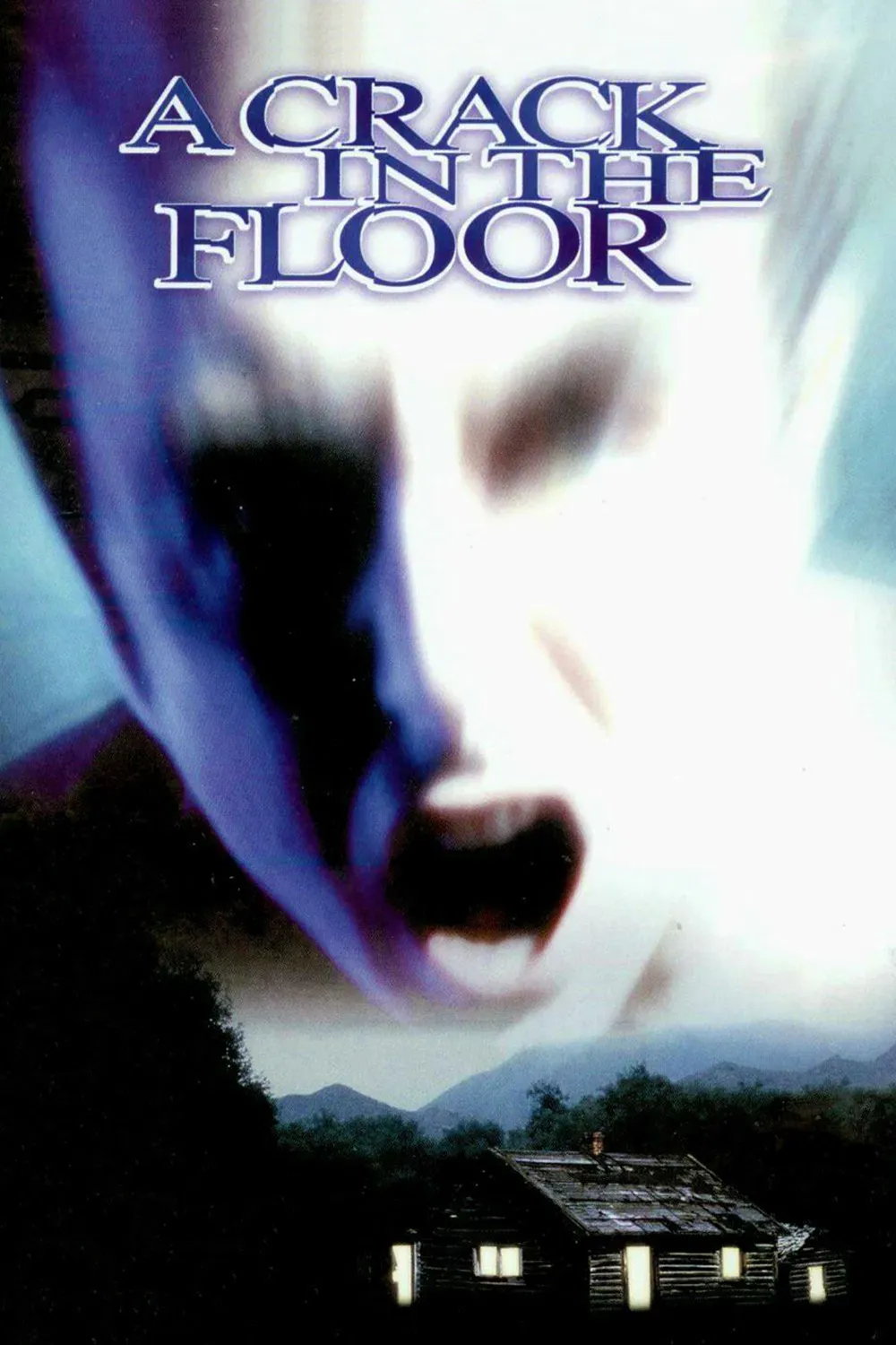Poster of the movie A Crack in the Floor