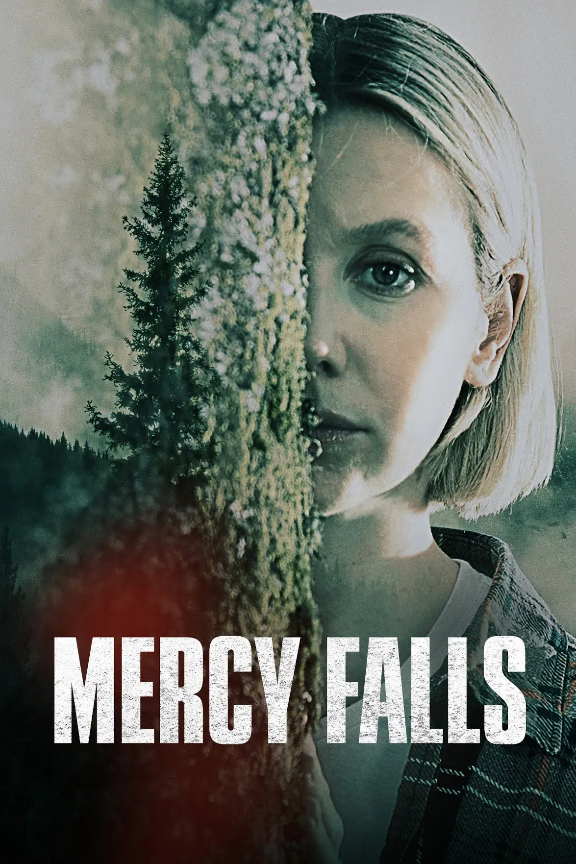 Poster of the movie Mercy Falls