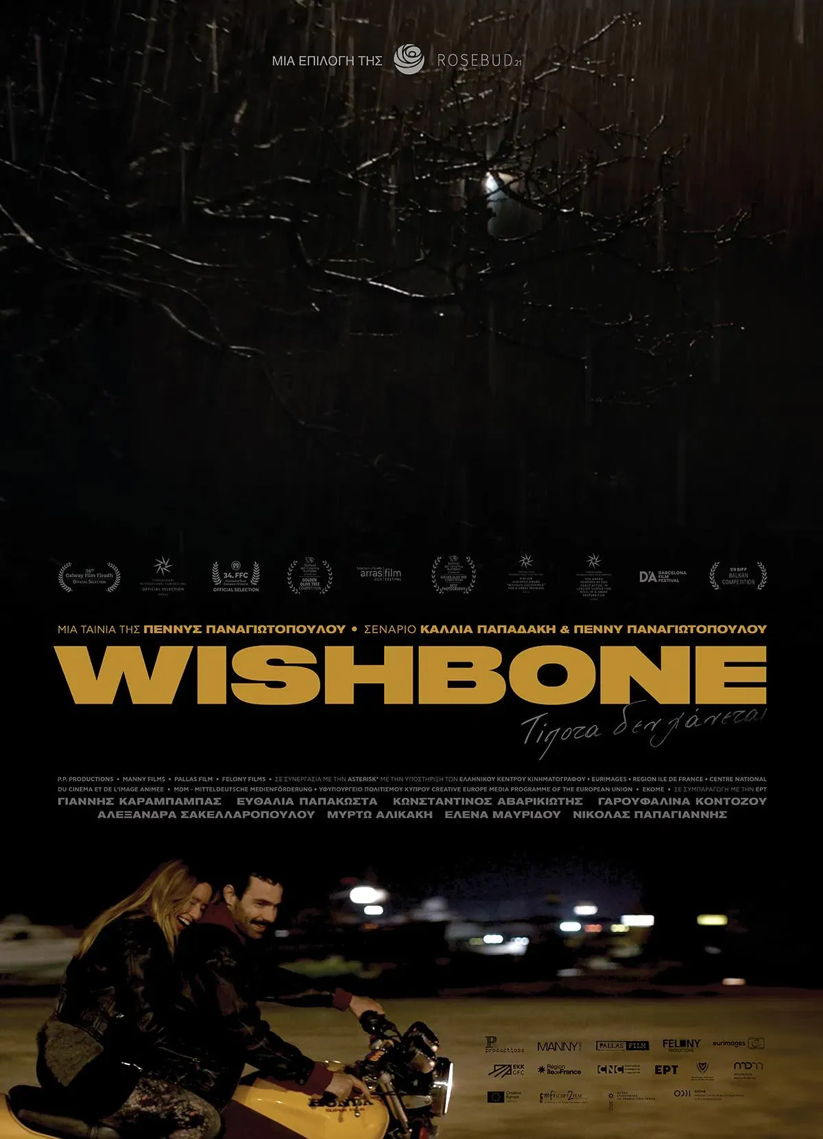 Poster of the movie Wishbone