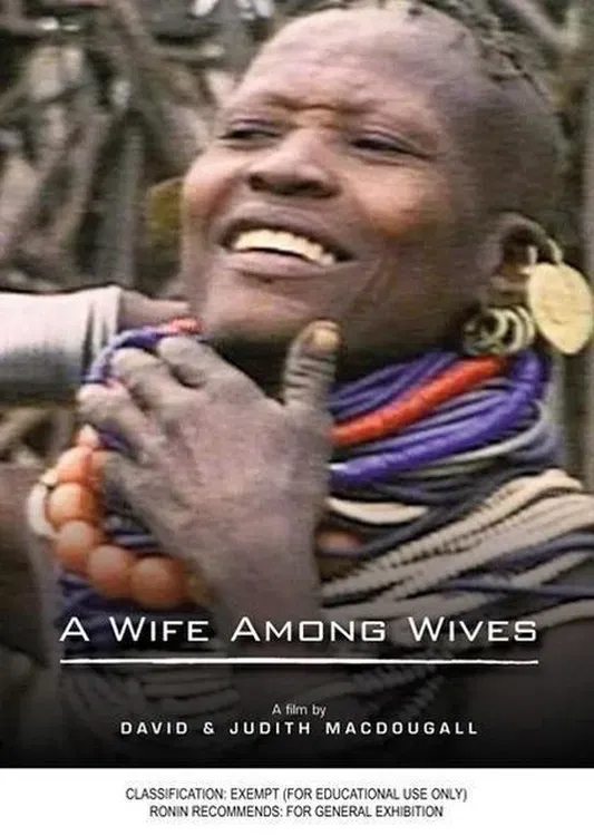 Poster of the movie A Wife Among Wives