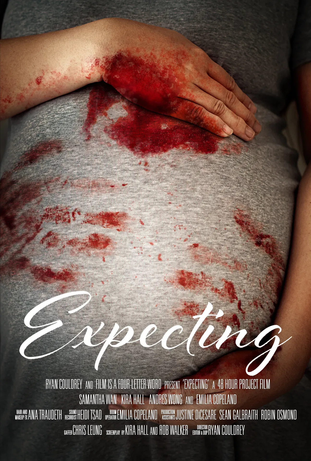 Poster of the movie Expecting