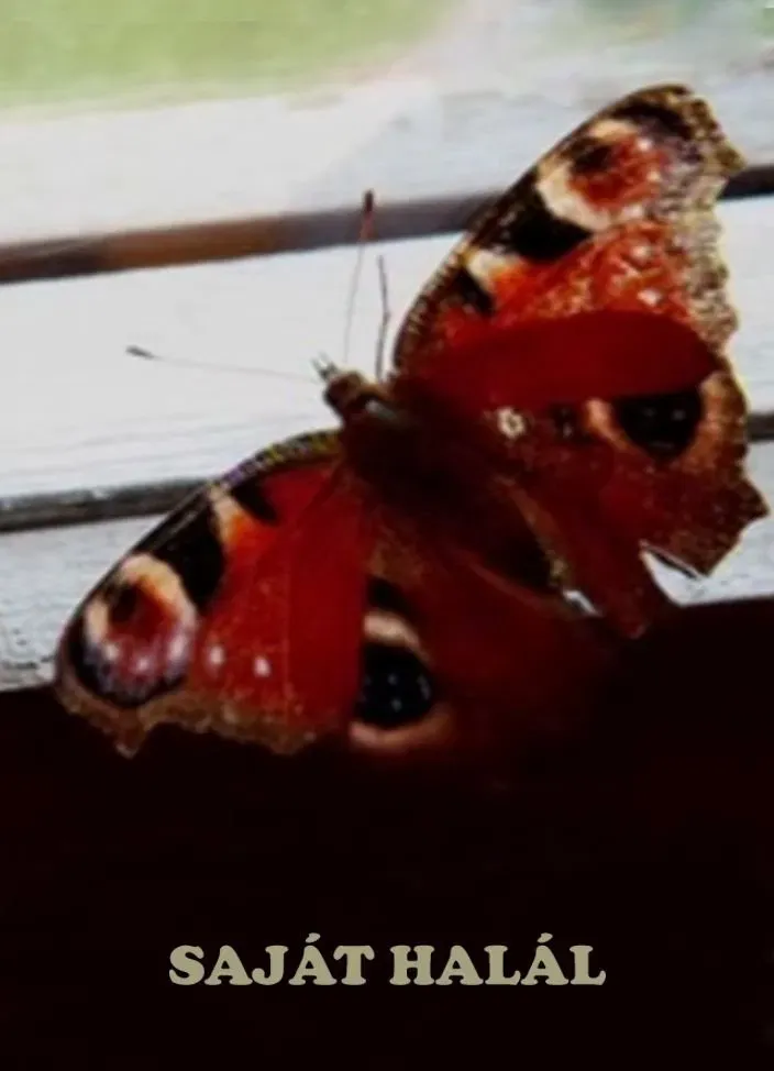 Poster of the movie Own Death