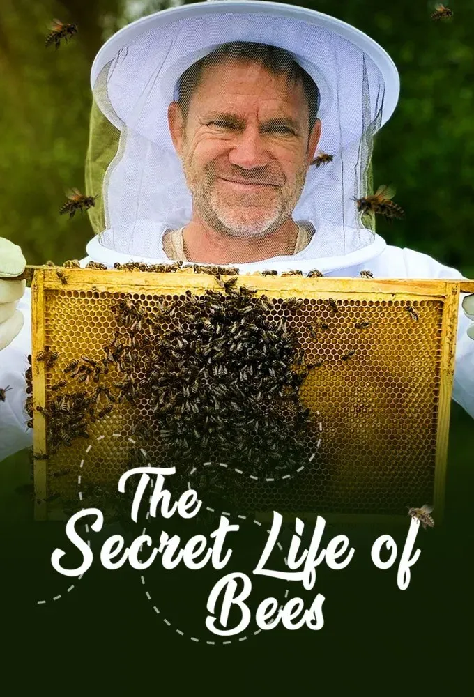 Poster of The Secret Life of Bees