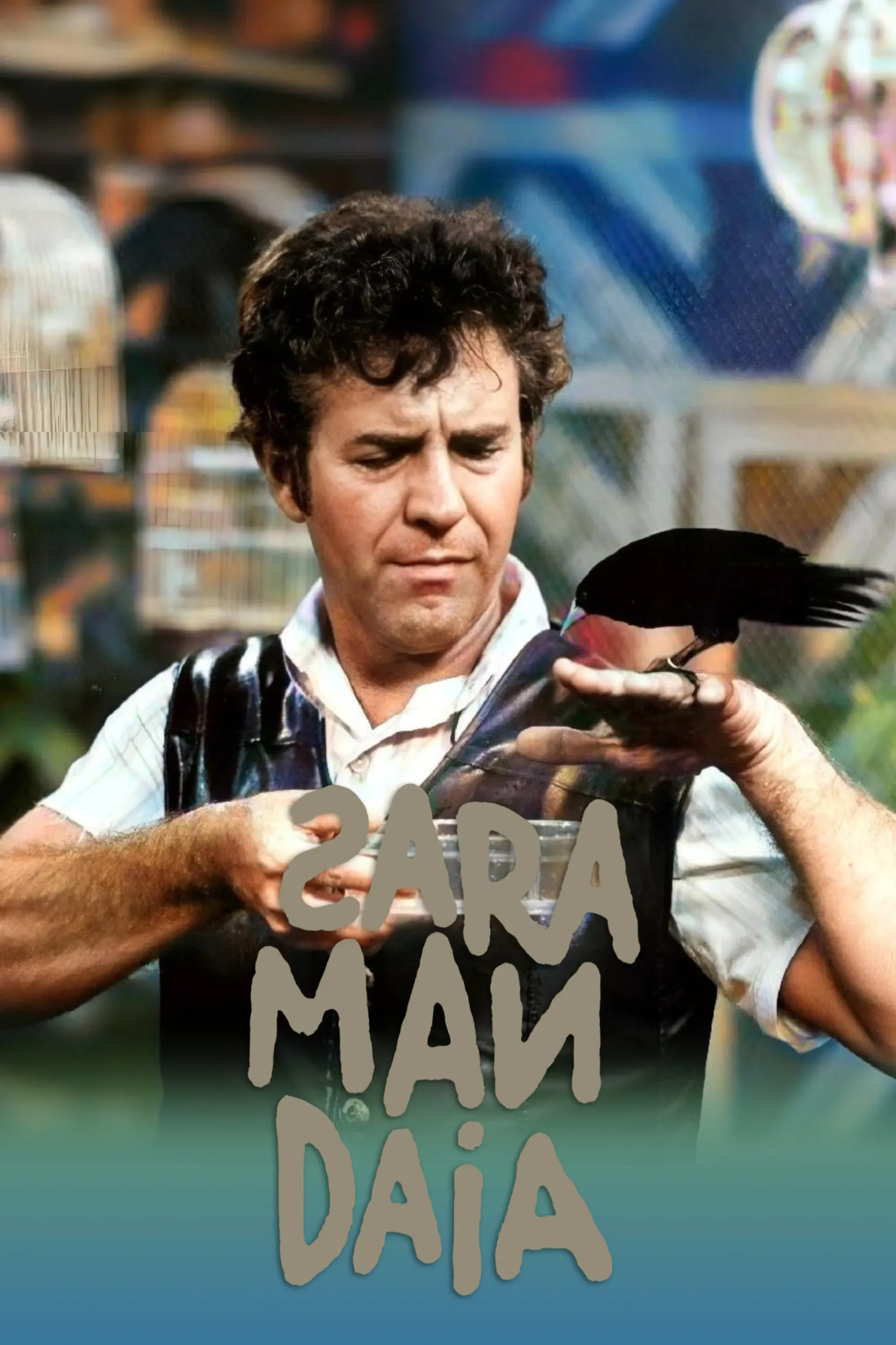 Poster of Saramandaia