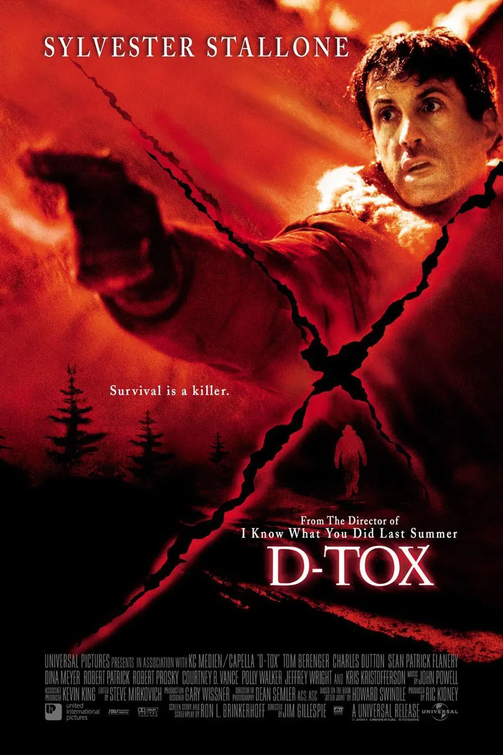 Poster of the movie D-Tox