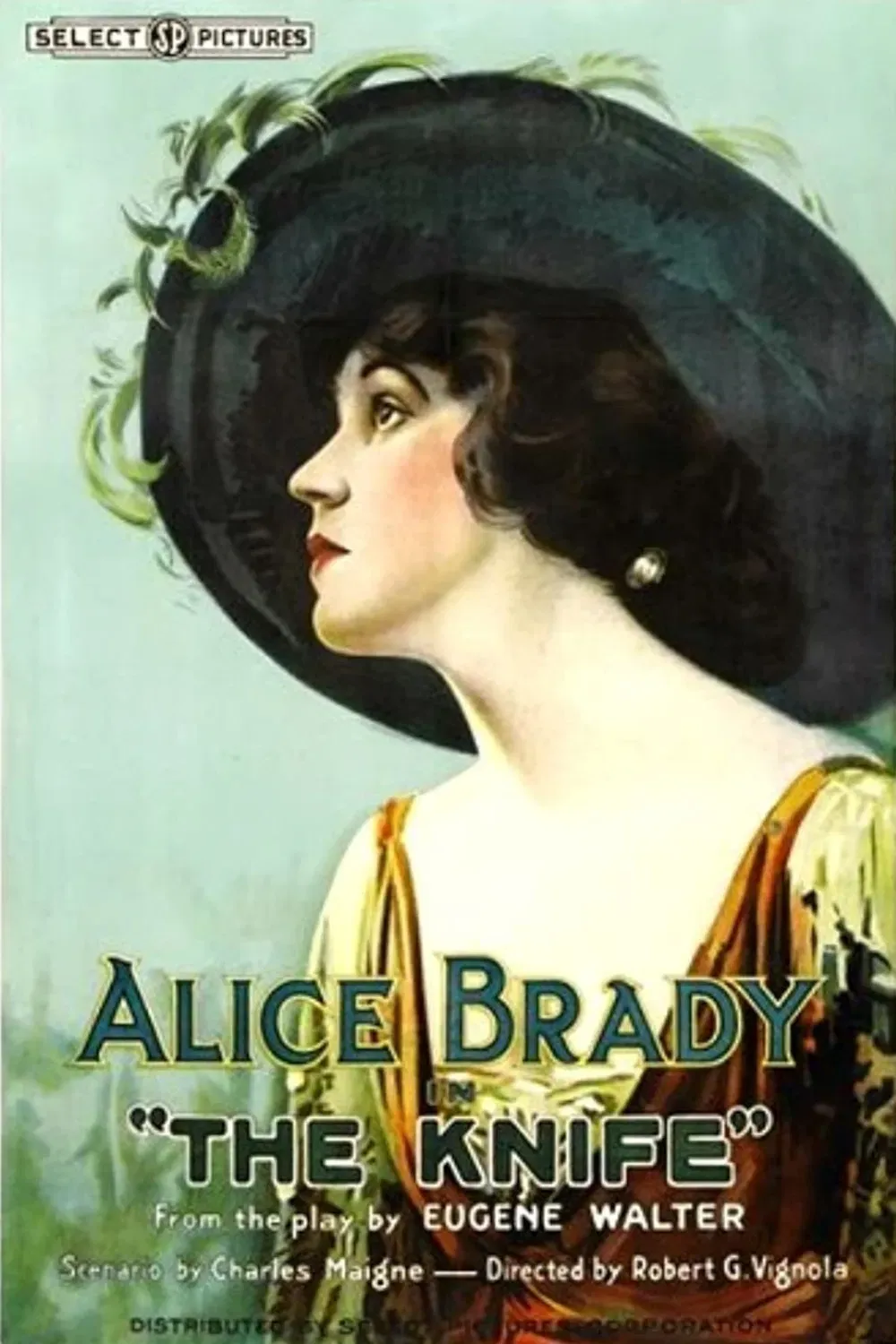 Poster of the movie The Knife