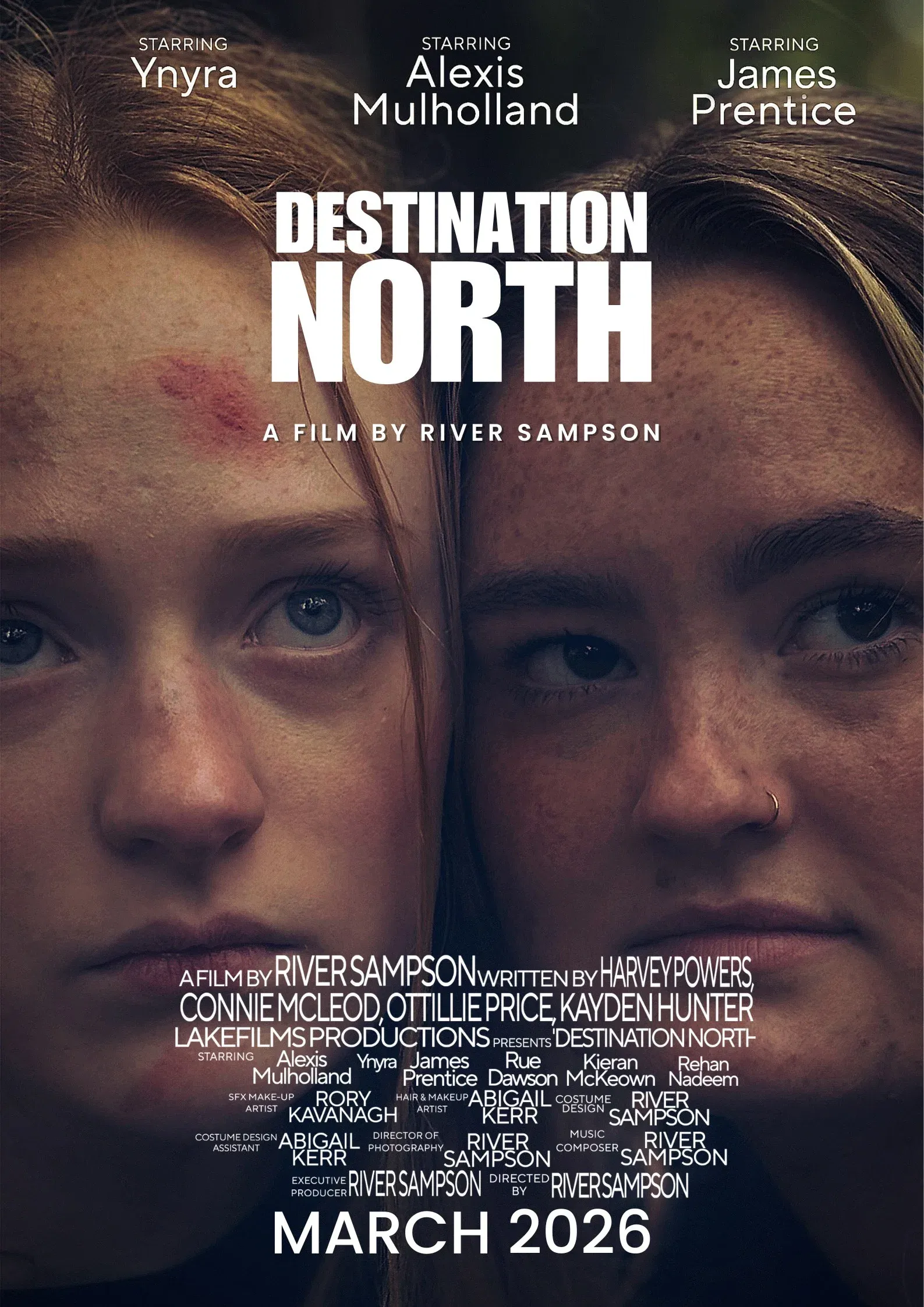 Poster for Destination North