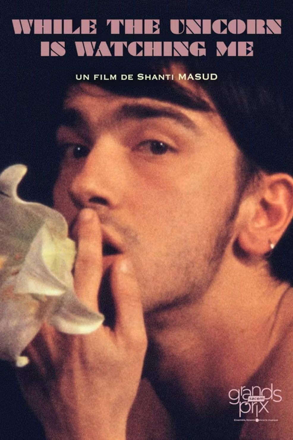 Poster of the movie While the Unicorn Is Watching Me