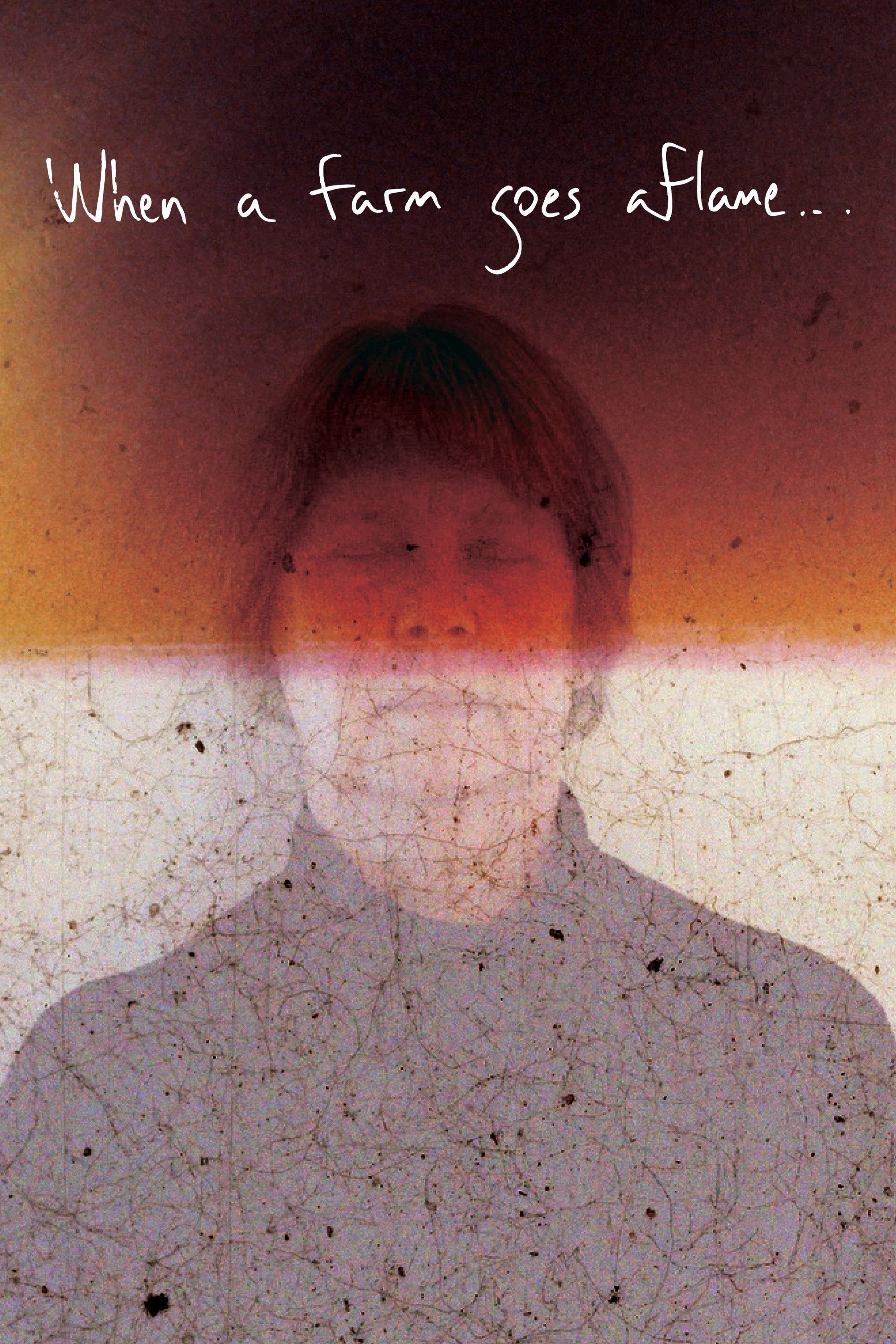 Poster of the movie When a farm goes aflame