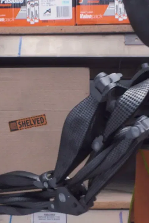 Poster of the movie Shelved