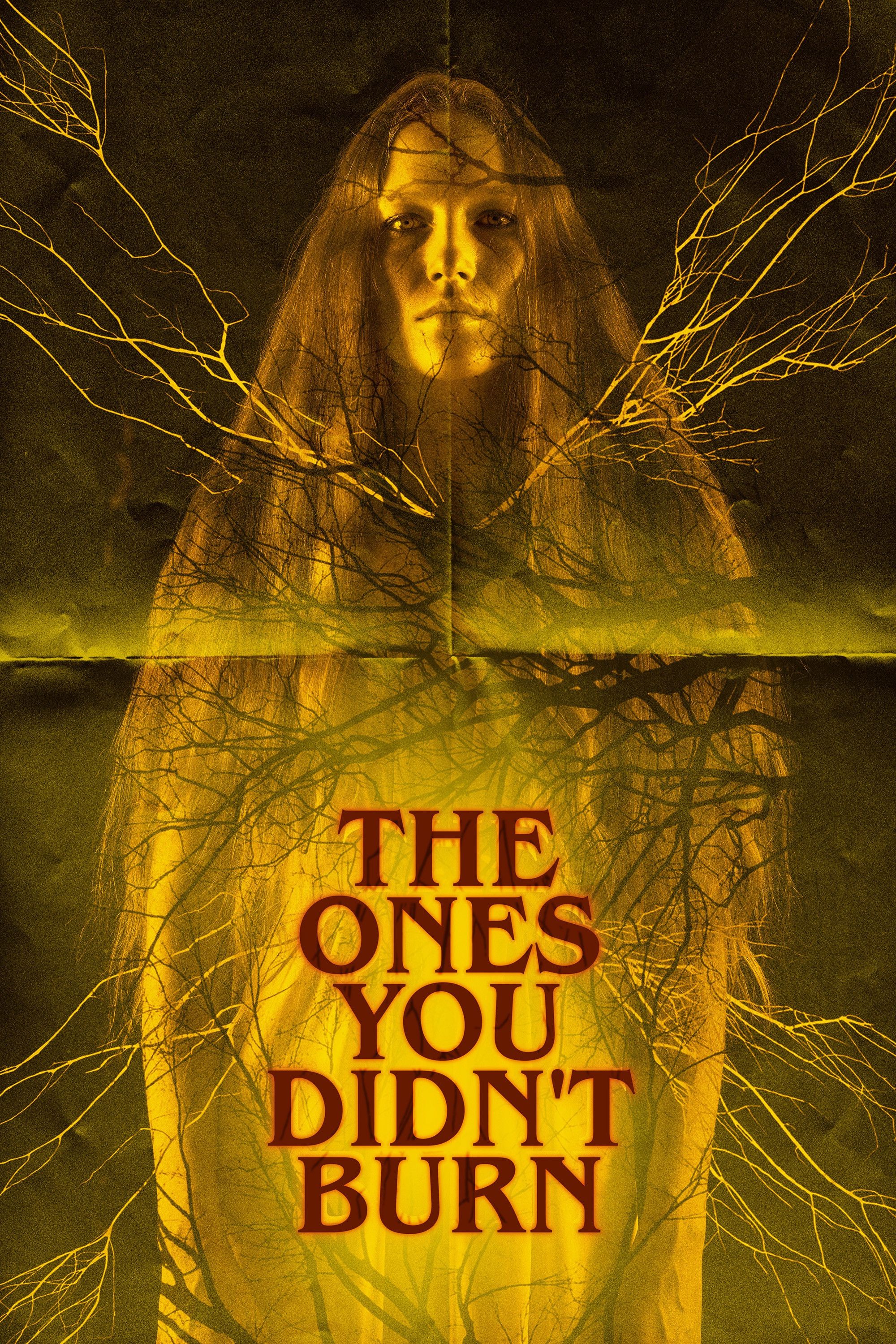 Poster of the movie The Ones You Didn’t Burn