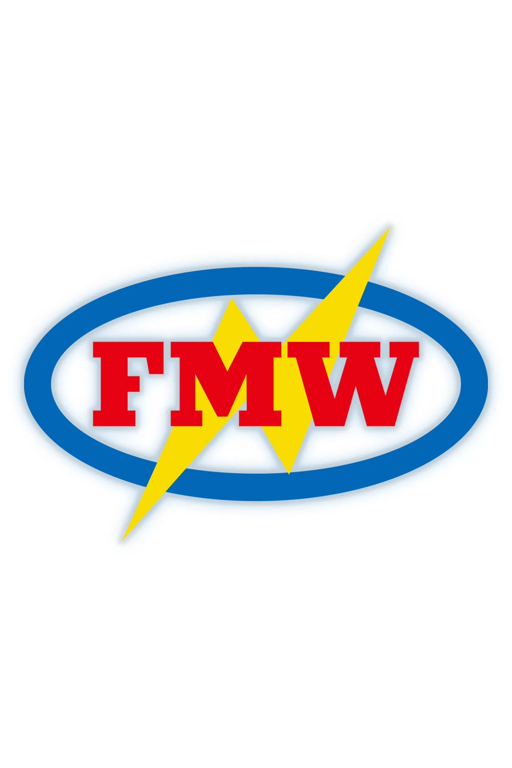 Poster of the movie FMW: The Enforcer