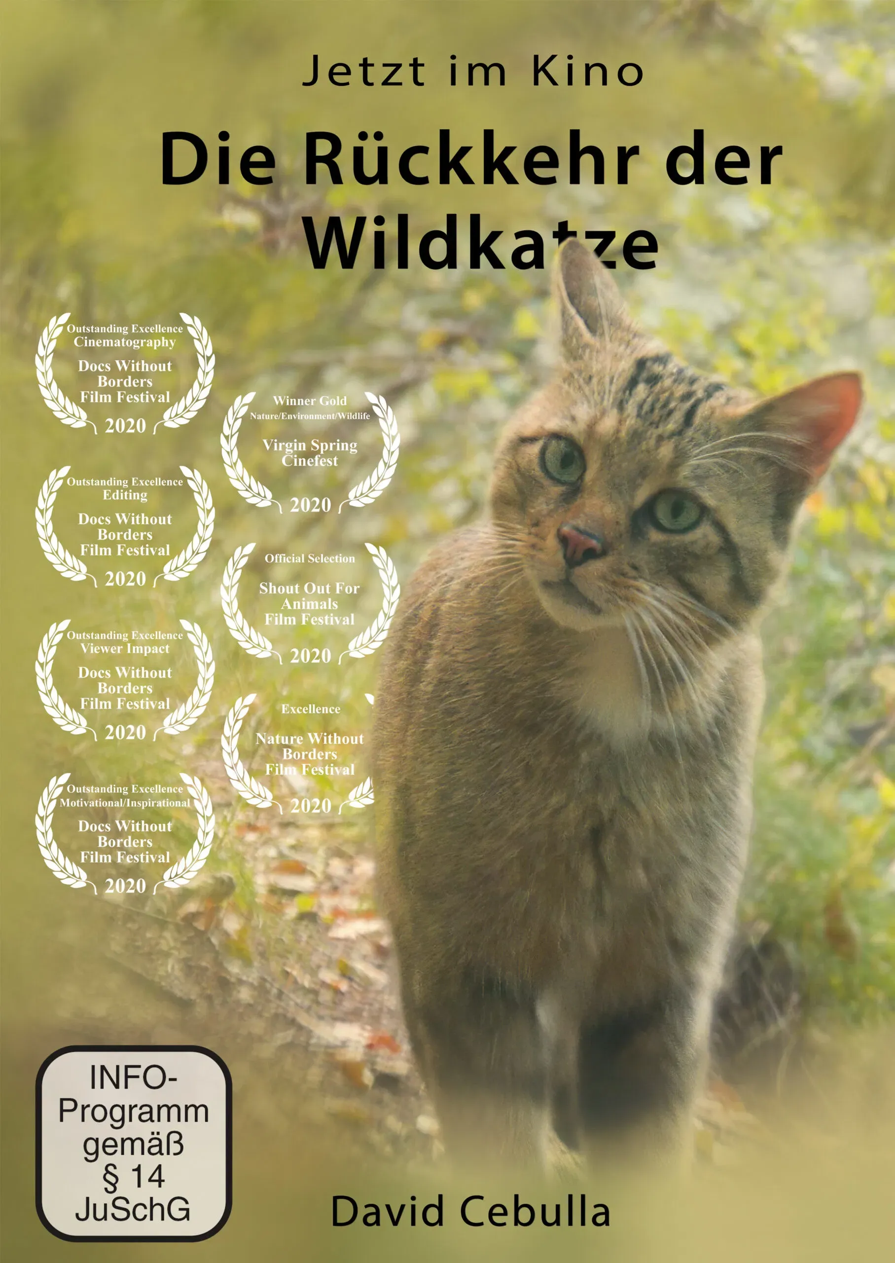 Poster of the movie The Return of the Wildcat