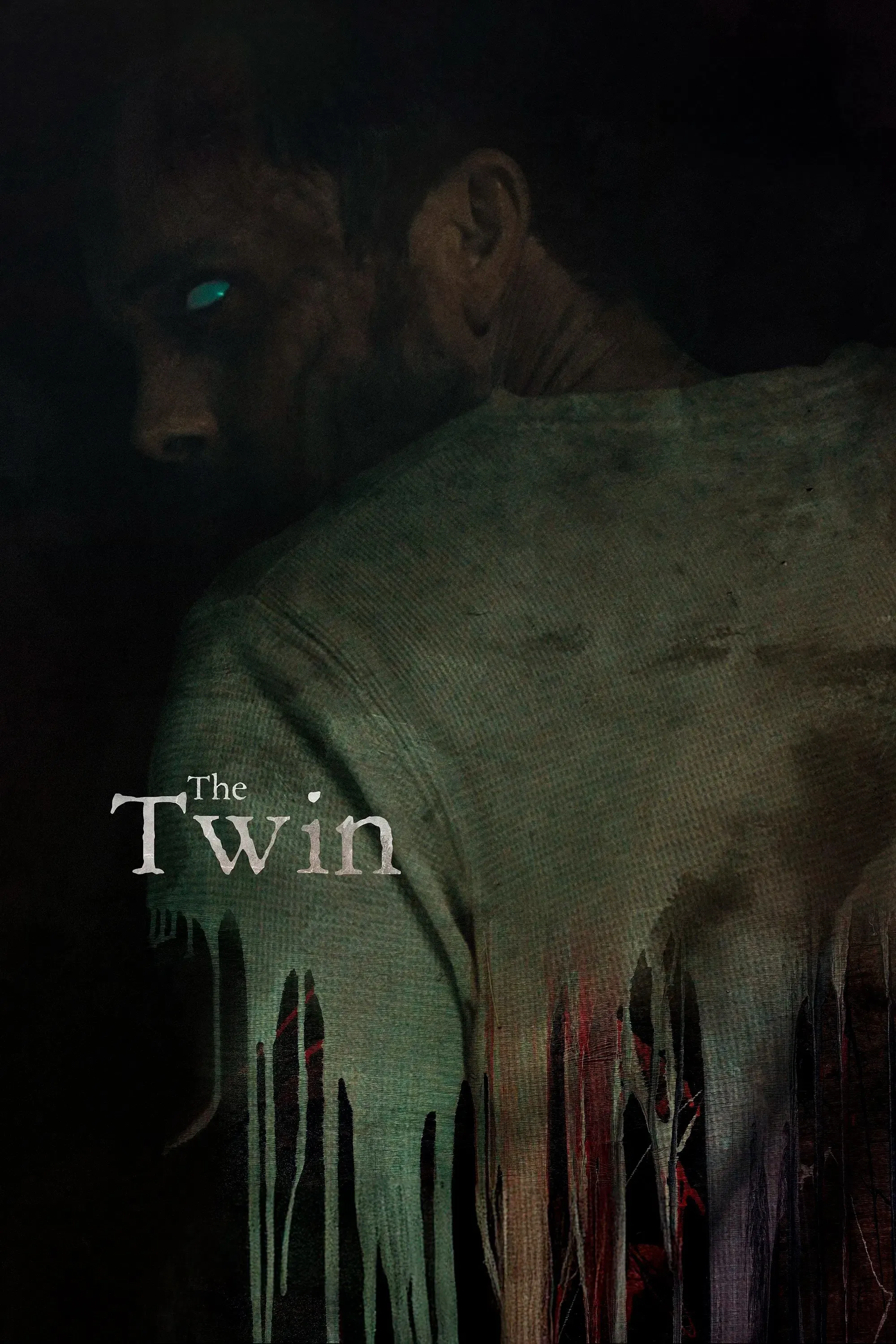 Poster of the movie The Twin