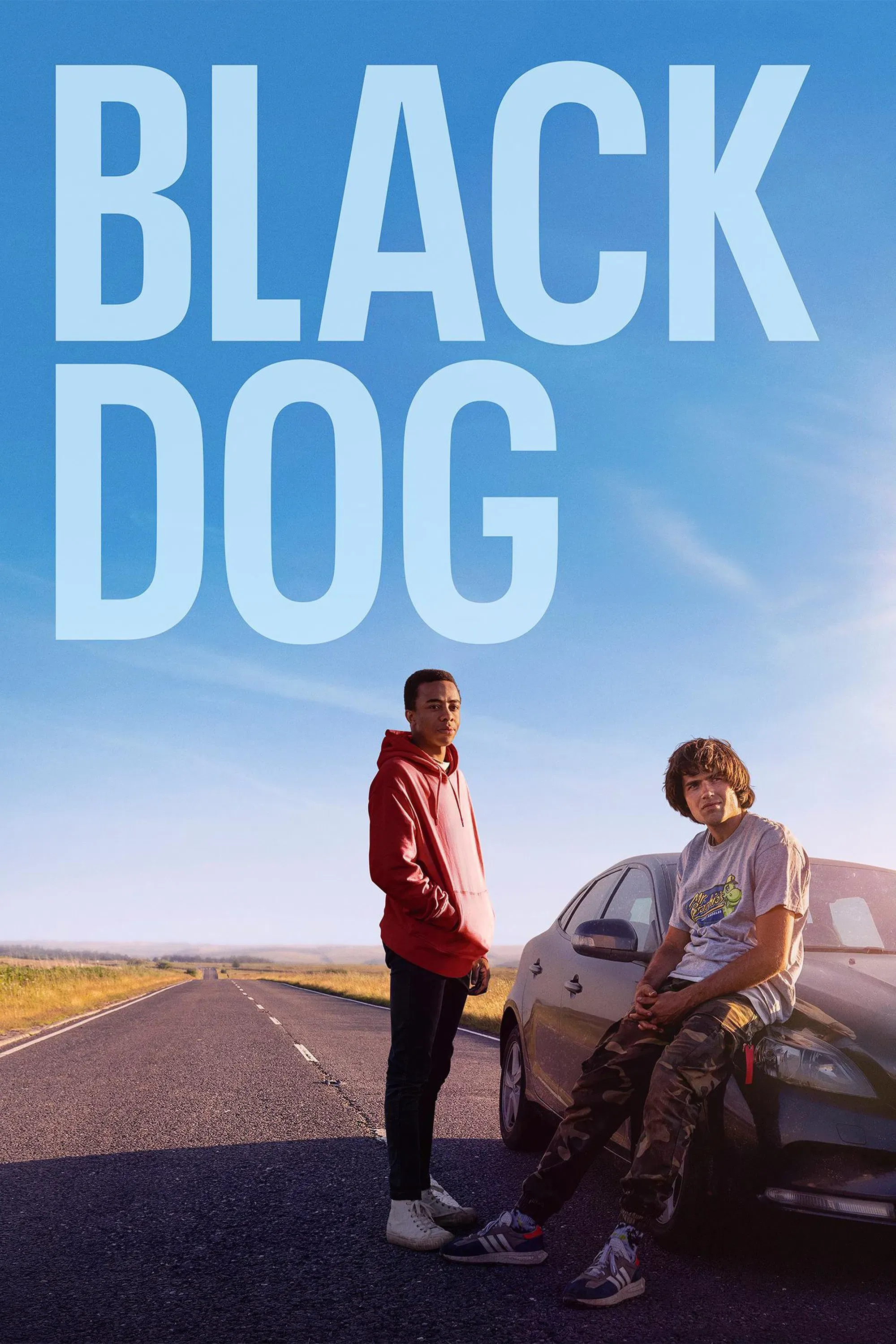 Poster of the movie Black Dog