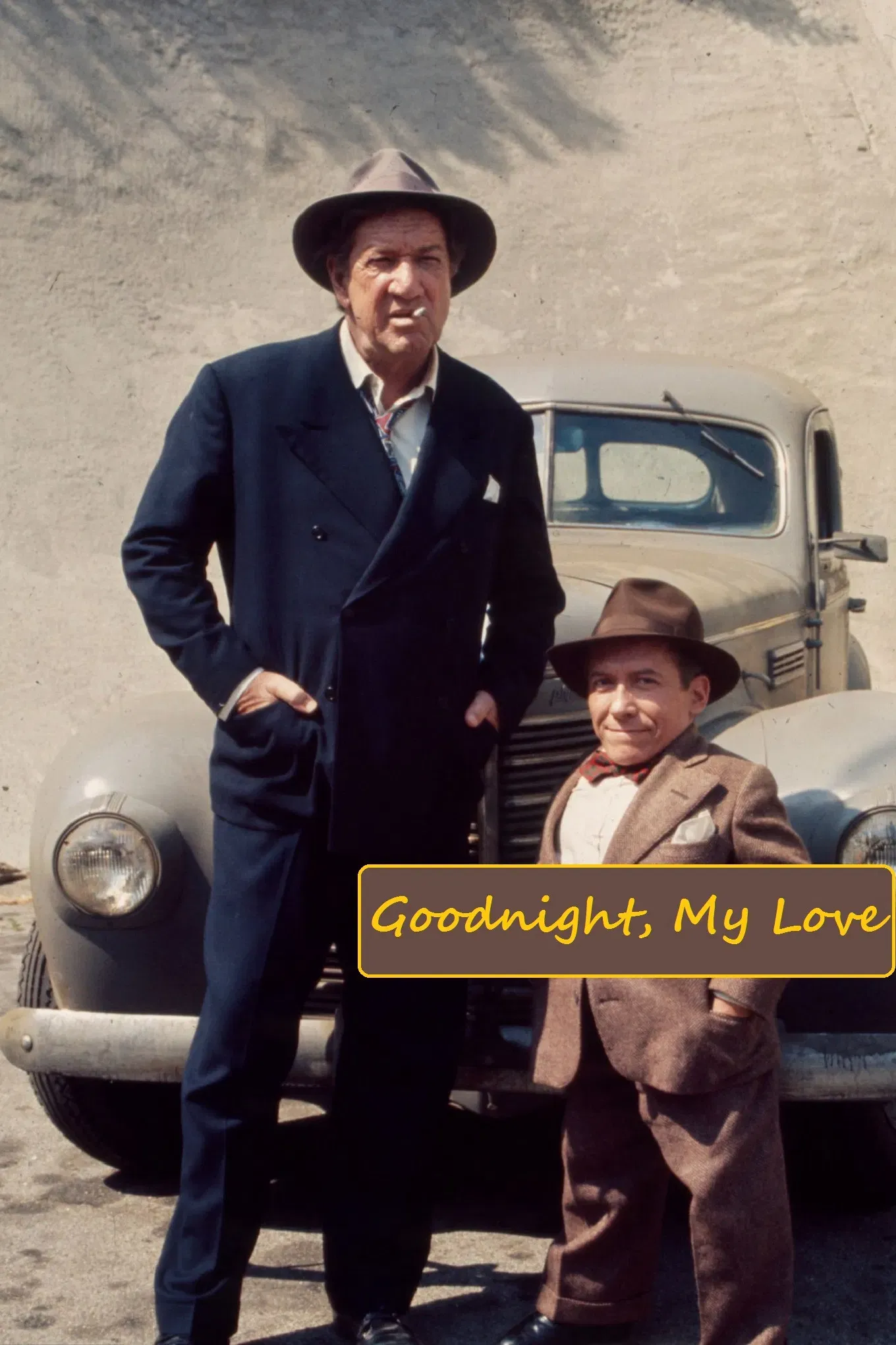 Poster of the movie Goodnight, My Love