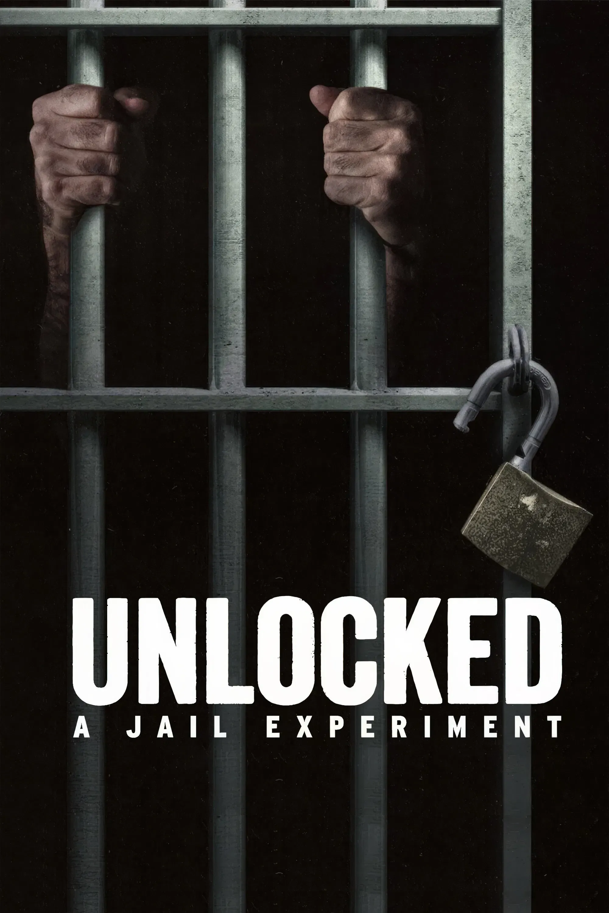 Poster of Unlocked: A Jail Experiment