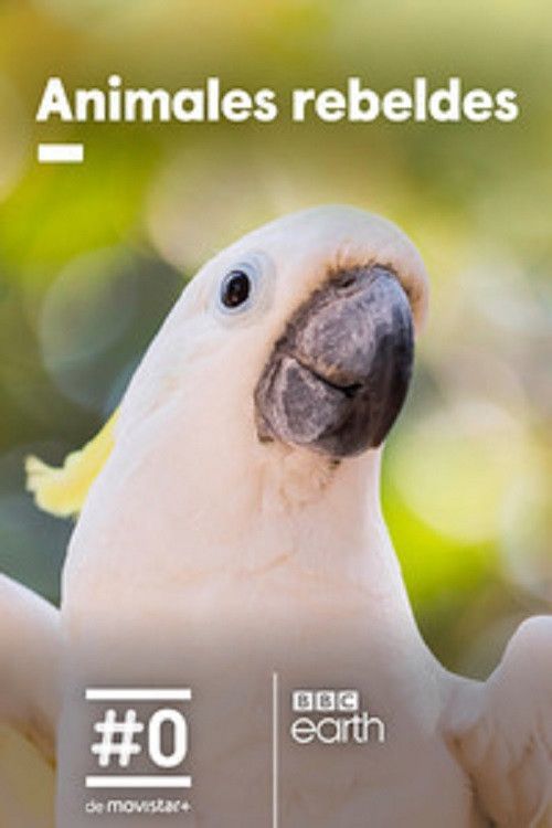 Poster of Animales rebeldes