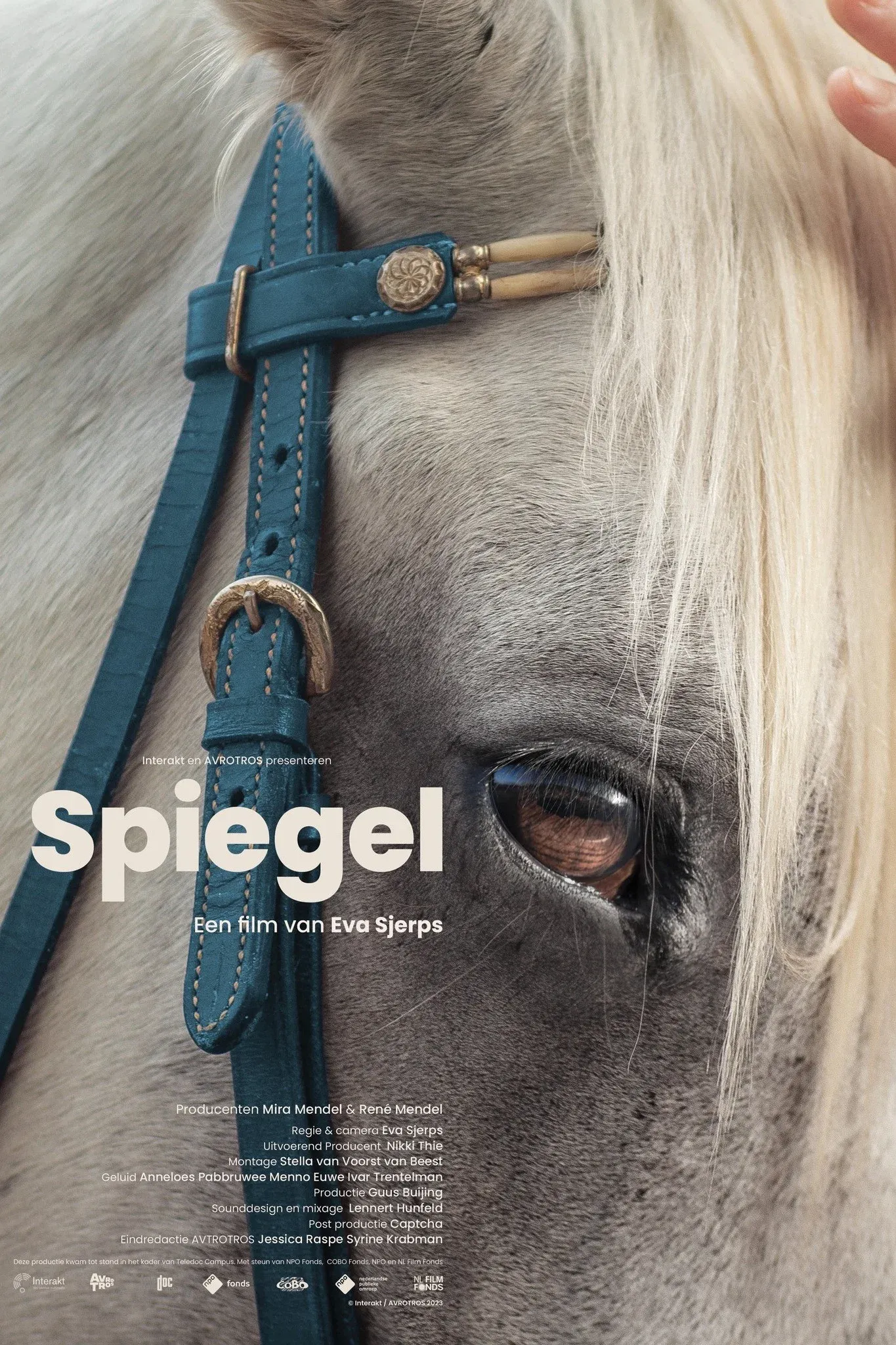 Poster for Spiegel