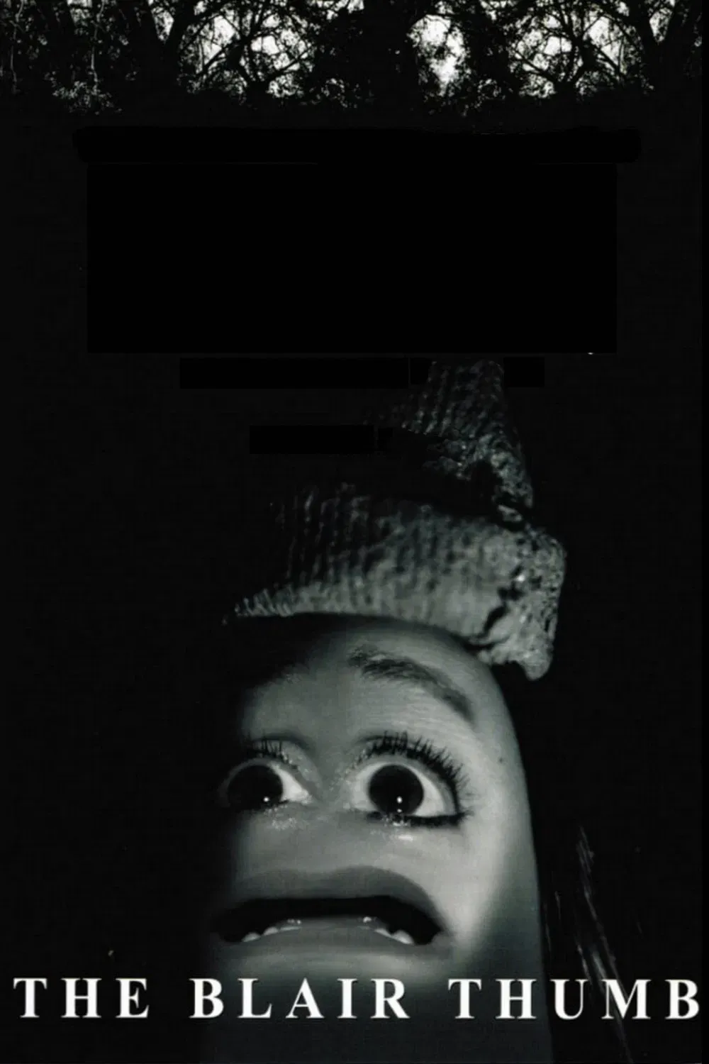 Poster of the movie The Blair Thumb