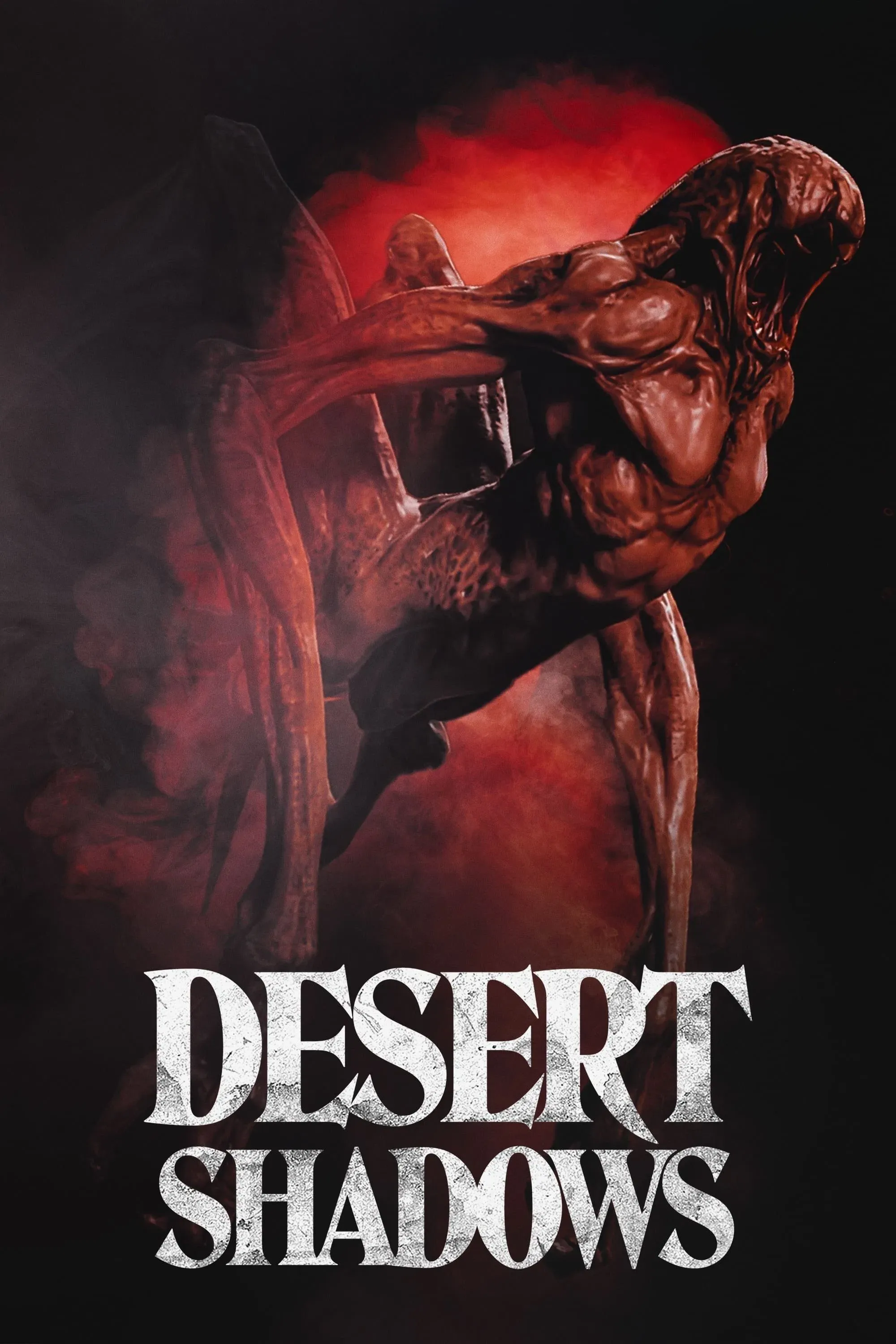 Poster of the movie Desert Shadows