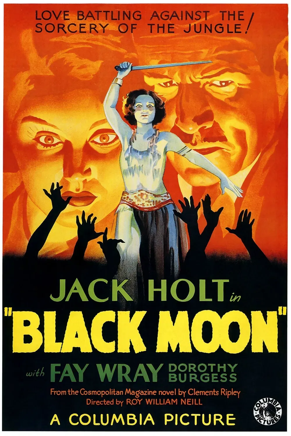 Poster of the movie Black Moon