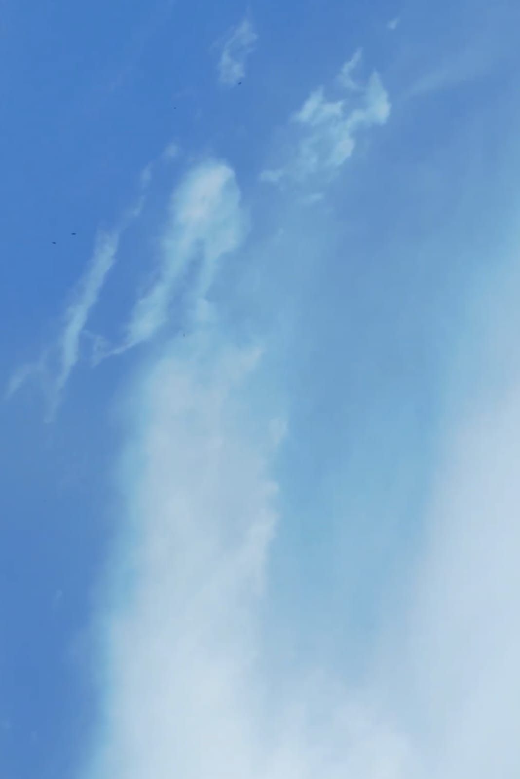 Poster of the movie Brasil