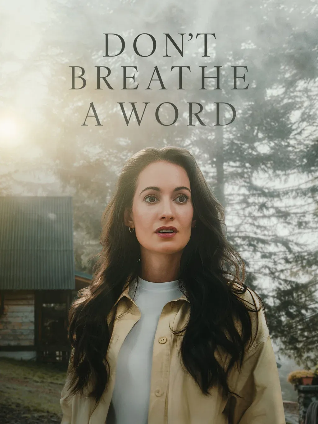 Poster for Don't Breathe a Word