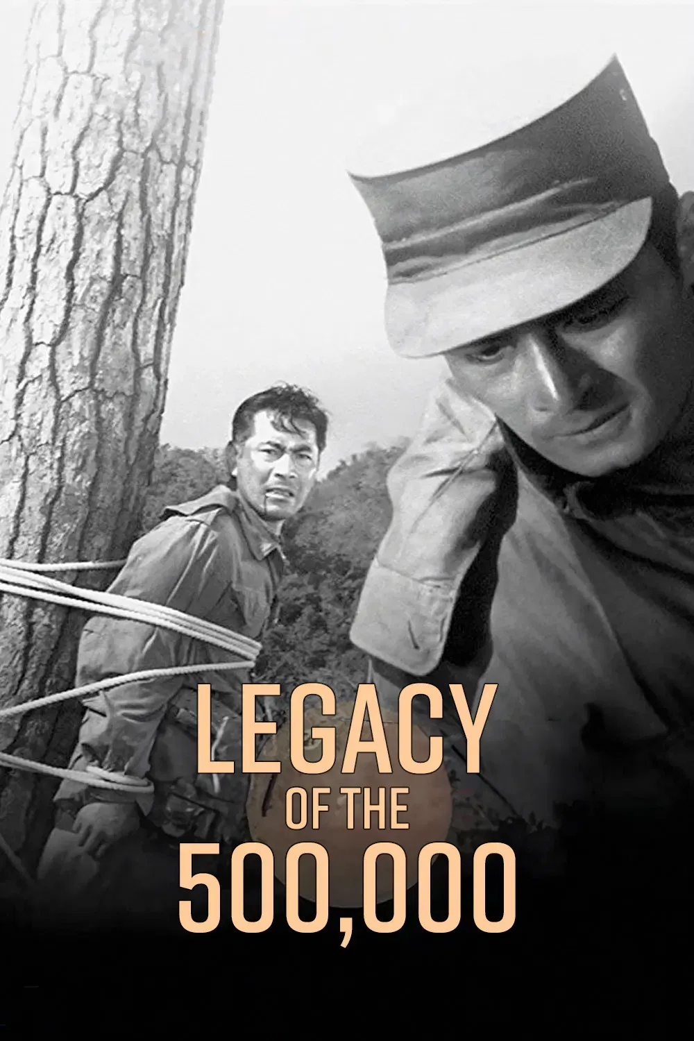 Poster of the movie Legacy of the 500,000