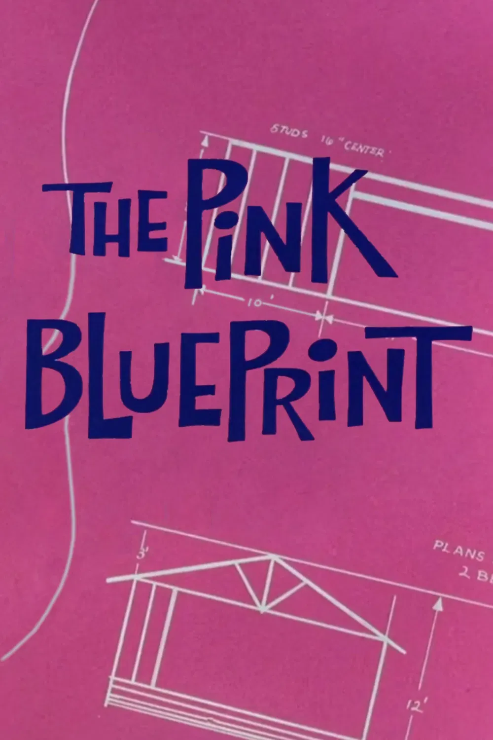 Poster of the movie The Pink Blueprint