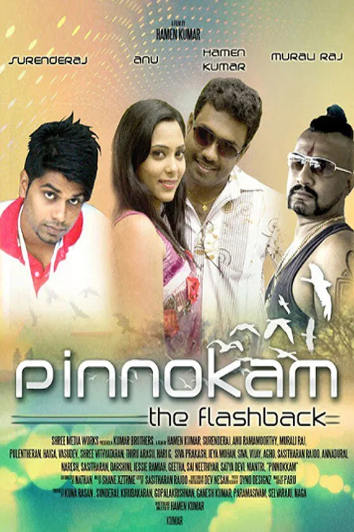 Poster for Pinnokam