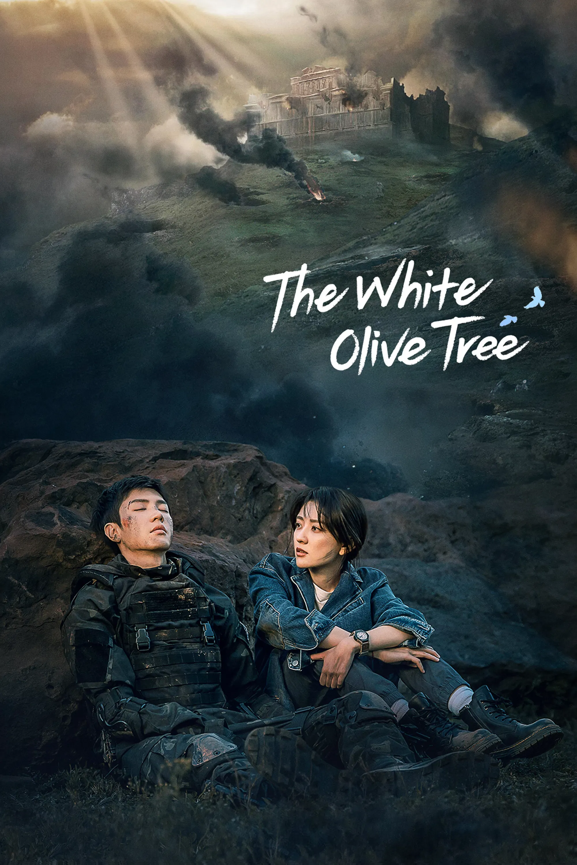 Poster of The White Olive Tree