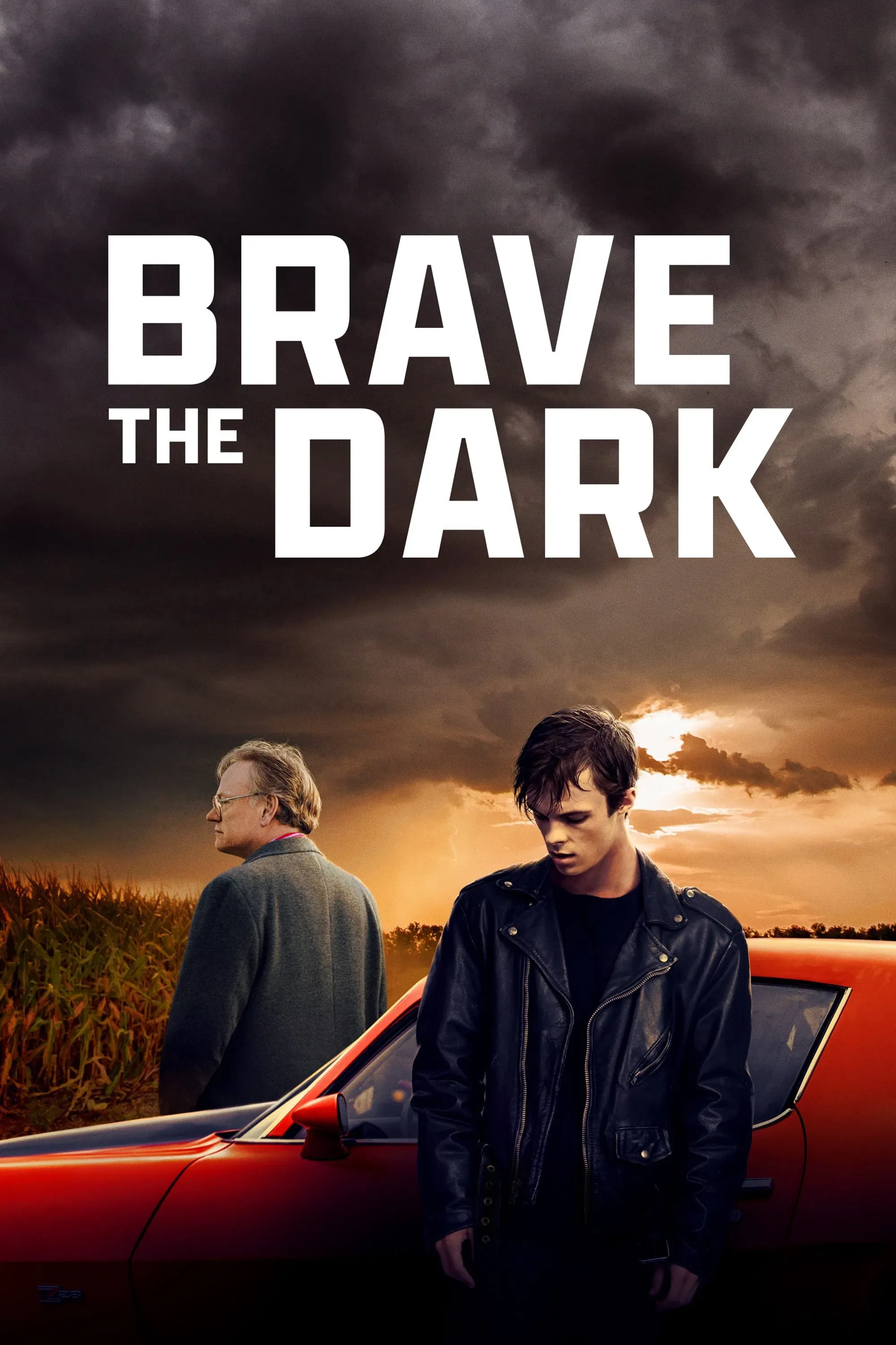 Poster of the movie Brave the Dark