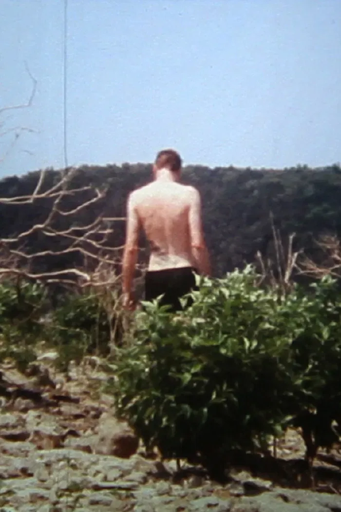 Poster of the movie The Birds of Chernobyl