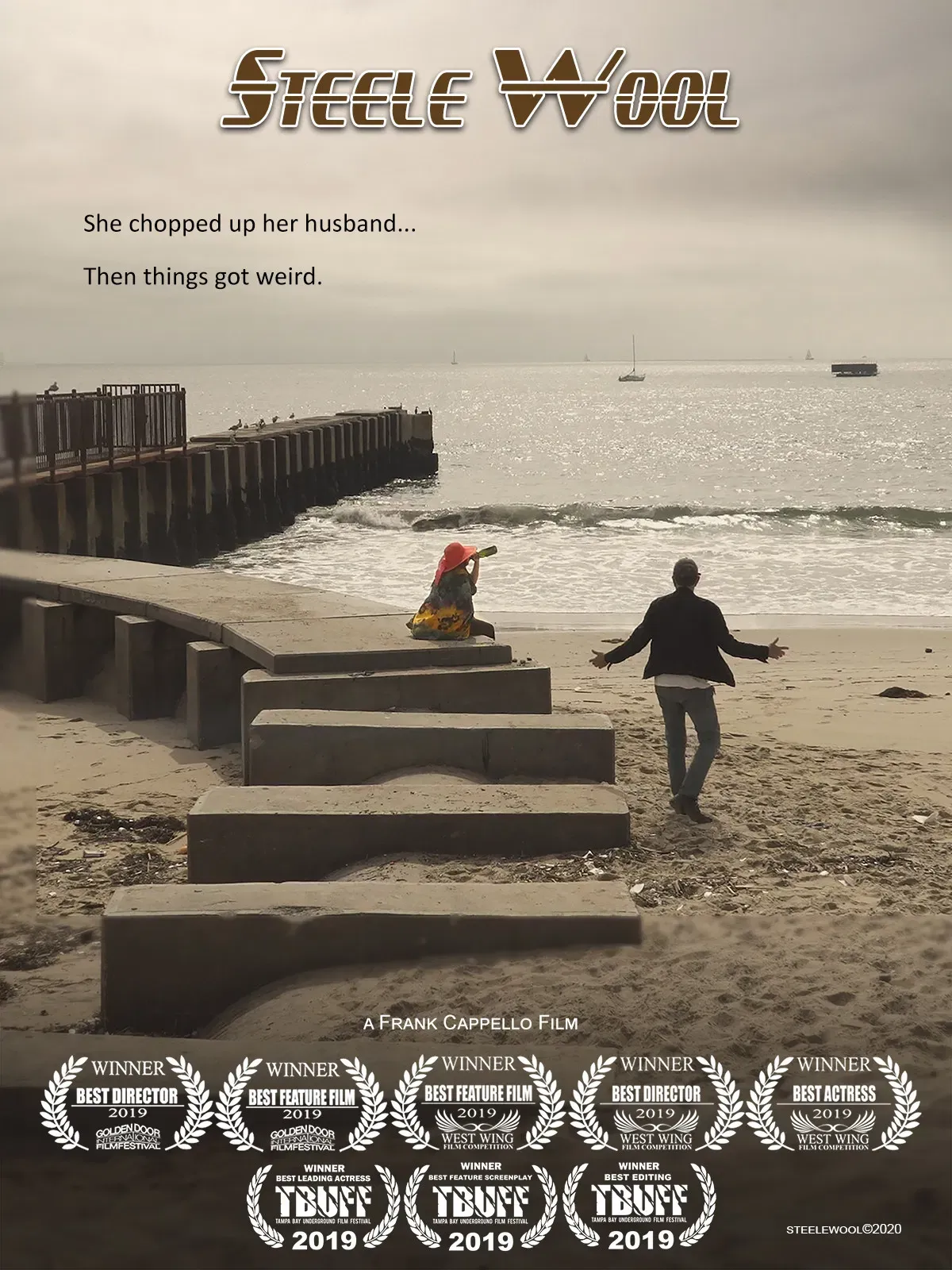 Poster of the movie Steele Wool