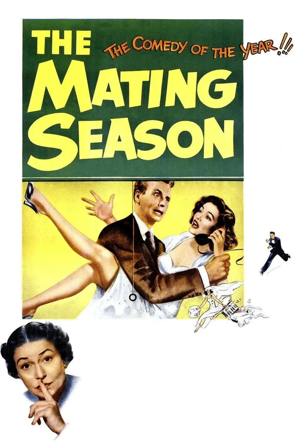 Poster of the movie The Mating Season