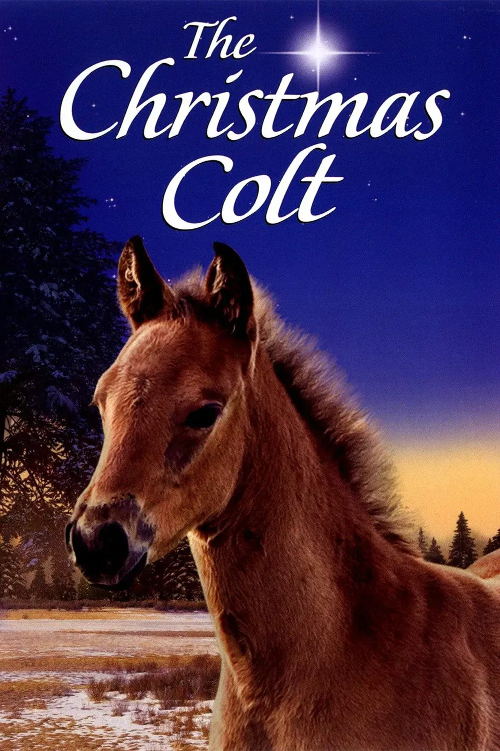 Poster of the movie The Christmas Colt