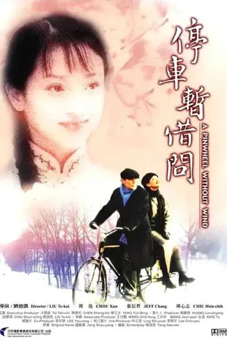 Poster of the movie A Pinwheel Without Wind